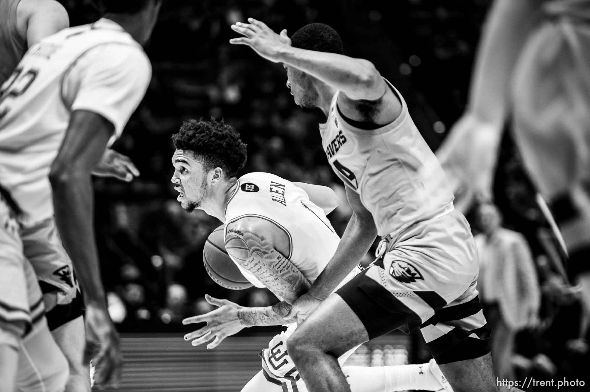 (Trent Nelson  |  The Salt Lake Tribune) Utah Utes forward Timmy Allen (1) drives to the basket as the University of Utah hosts Oregon State, NCAA men's basketball in Salt Lake City on Thursday, Jan. 2, 2020.