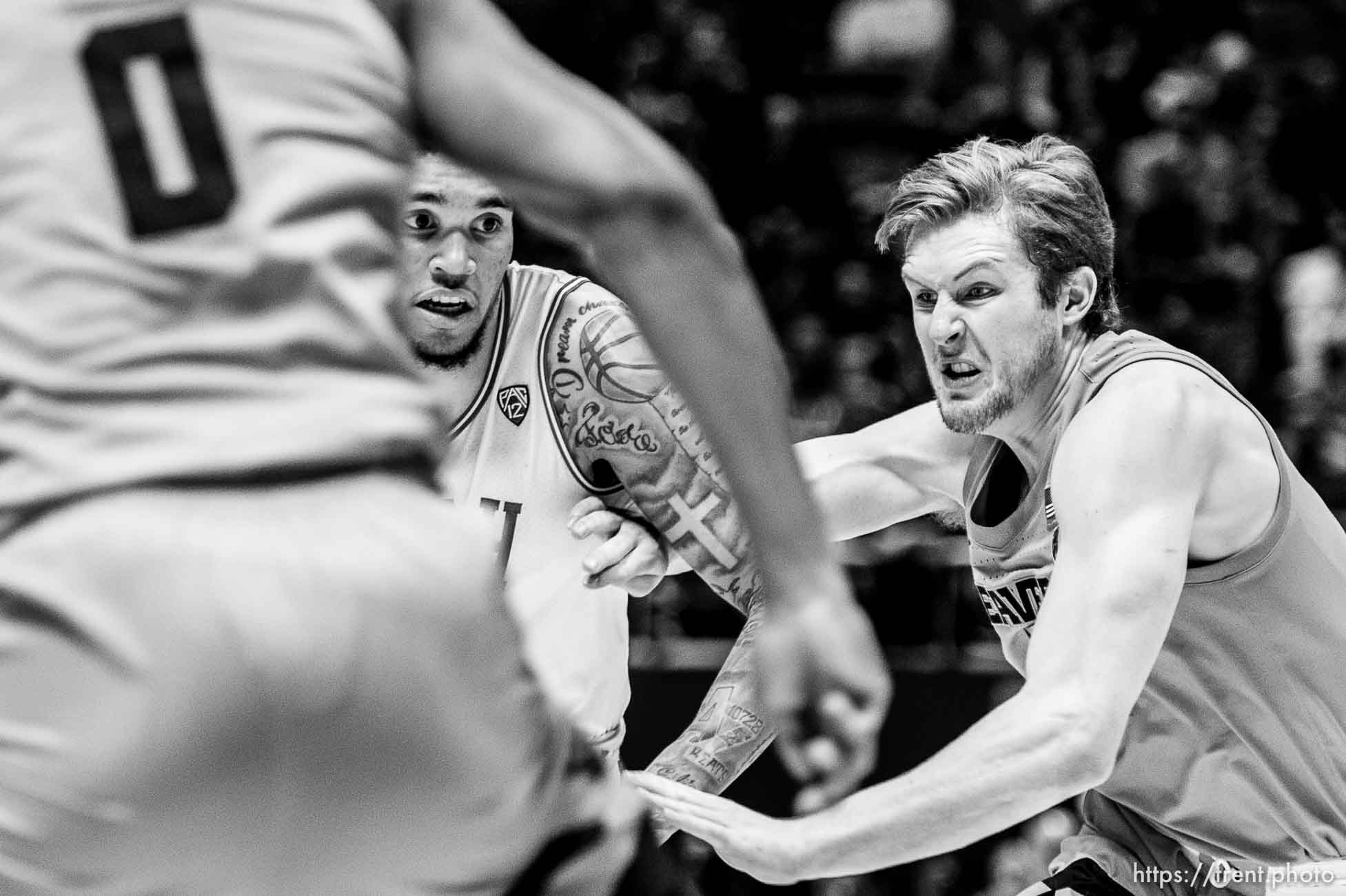 (Trent Nelson  |  The Salt Lake Tribune) Utah Utes forward Timmy Allen (1), Oregon State Beavers guard Zach Reichle (11) as the University of Utah hosts Oregon State, NCAA men's basketball in Salt Lake City on Thursday, Jan. 2, 2020.