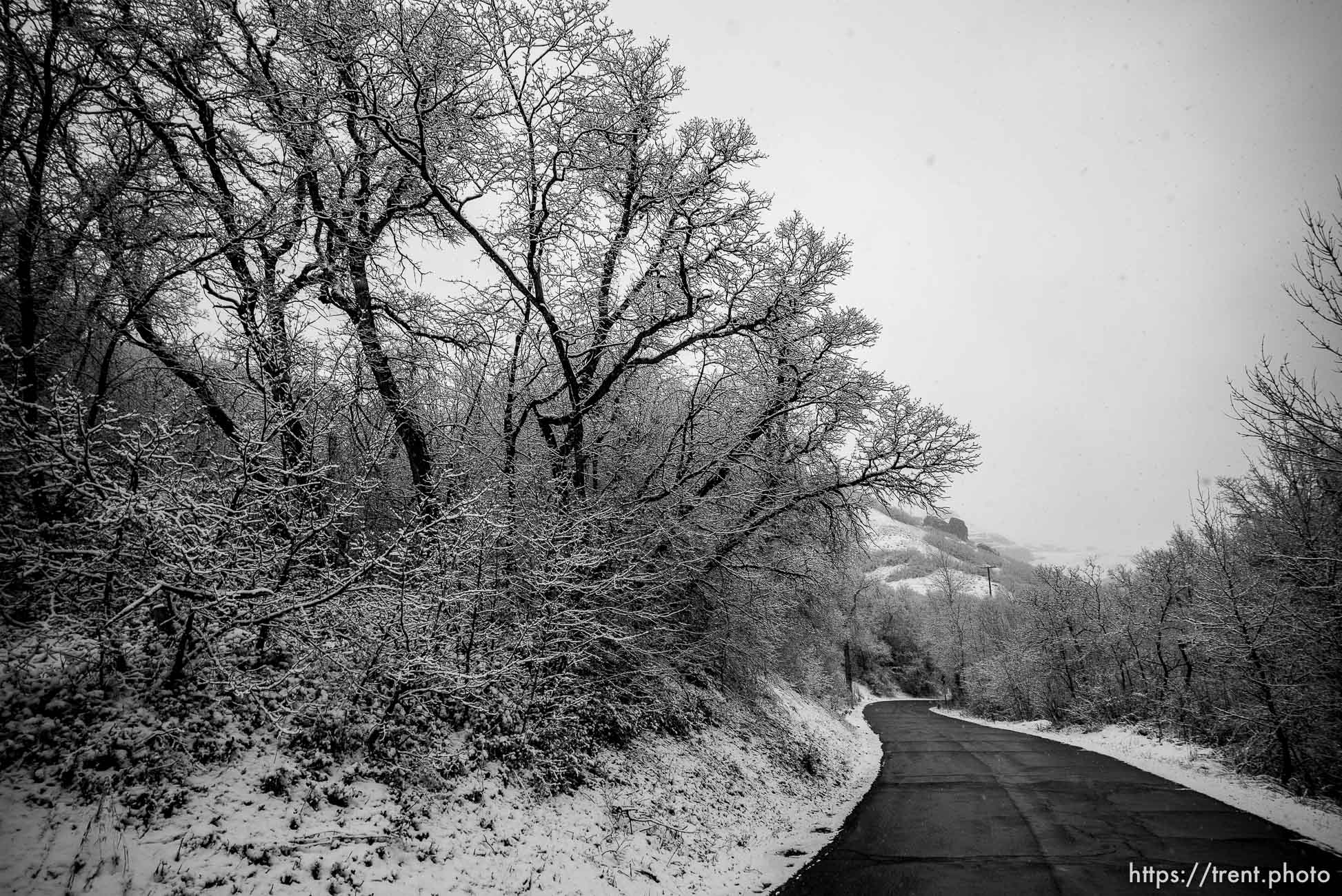 City Creek Canyon on Sunday, March 1, 2020.