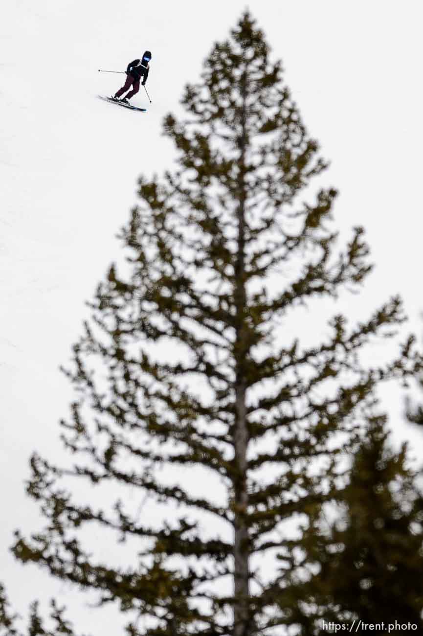 (Trent Nelson  |  The Salt Lake Tribune) Skiers at Snowbird on Friday, March 13, 2020.