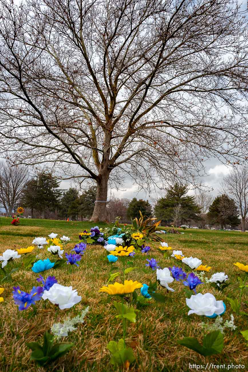 (Trent Nelson  |  The Salt Lake Tribune) Elysian Burial Gardens in Salt Lake City on Thursday, March 19, 2020.