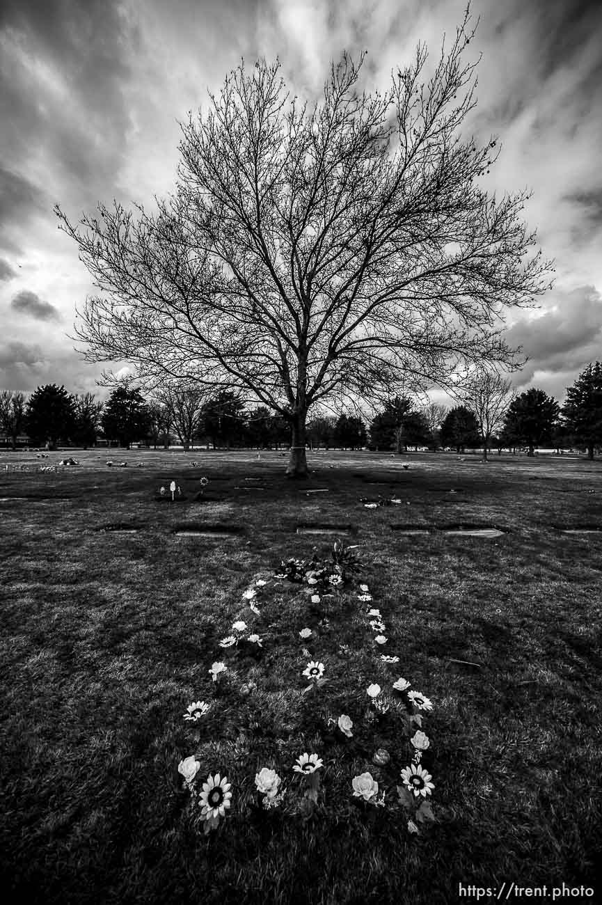 (Trent Nelson  |  The Salt Lake Tribune) Elysian Burial Gardens in Salt Lake City on Thursday, March 19, 2020.