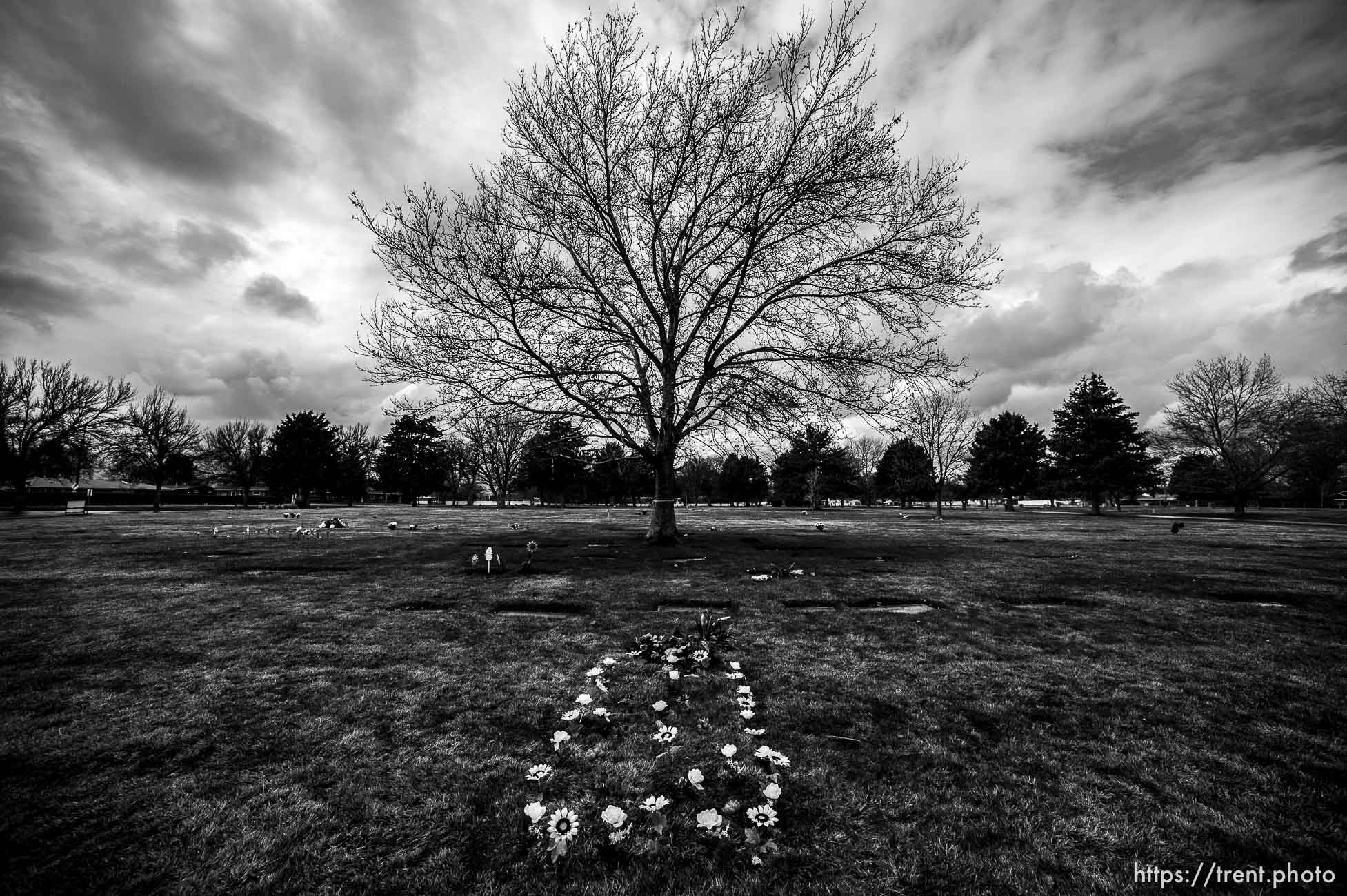 (Trent Nelson  |  The Salt Lake Tribune) Elysian Burial Gardens in Salt Lake City on Thursday, March 19, 2020.