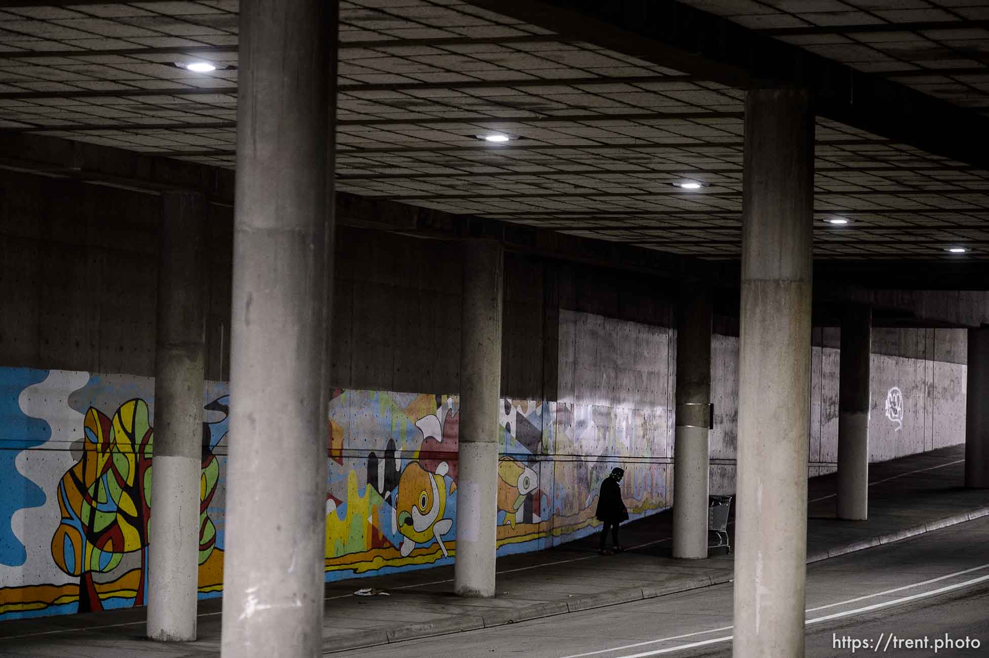 (Trent Nelson  |  The Salt Lake Tribune) A woman talks to herself along 200 West in Salt Lake City on Monday, March 23, 2020.