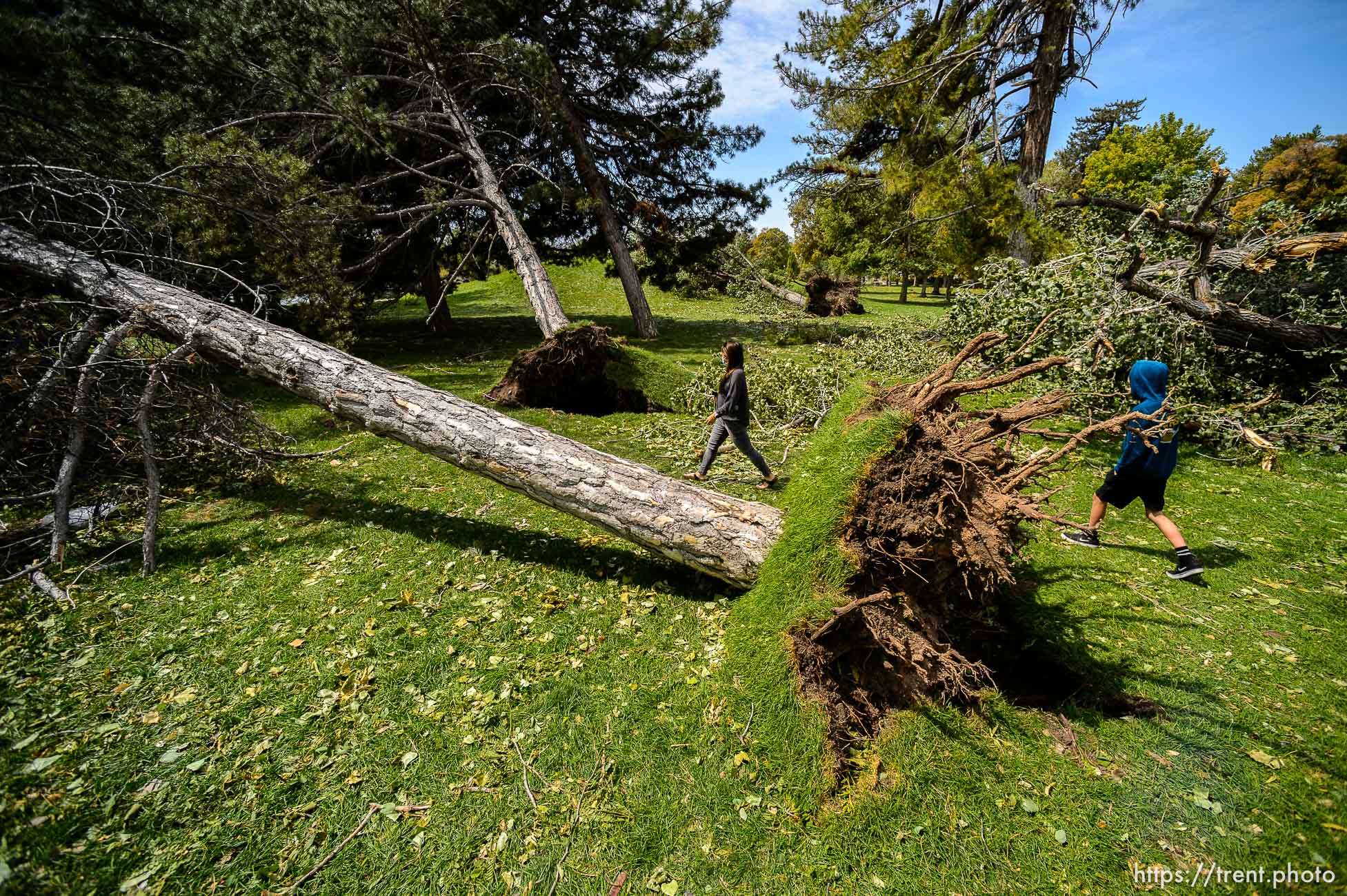 (Trent Nelson  |  The Salt Lake Tribune) People take in trees downed in Liberty Park during Tuesday's high winds, in Salt Lake City on Wednesday, Sept. 9, 2020.