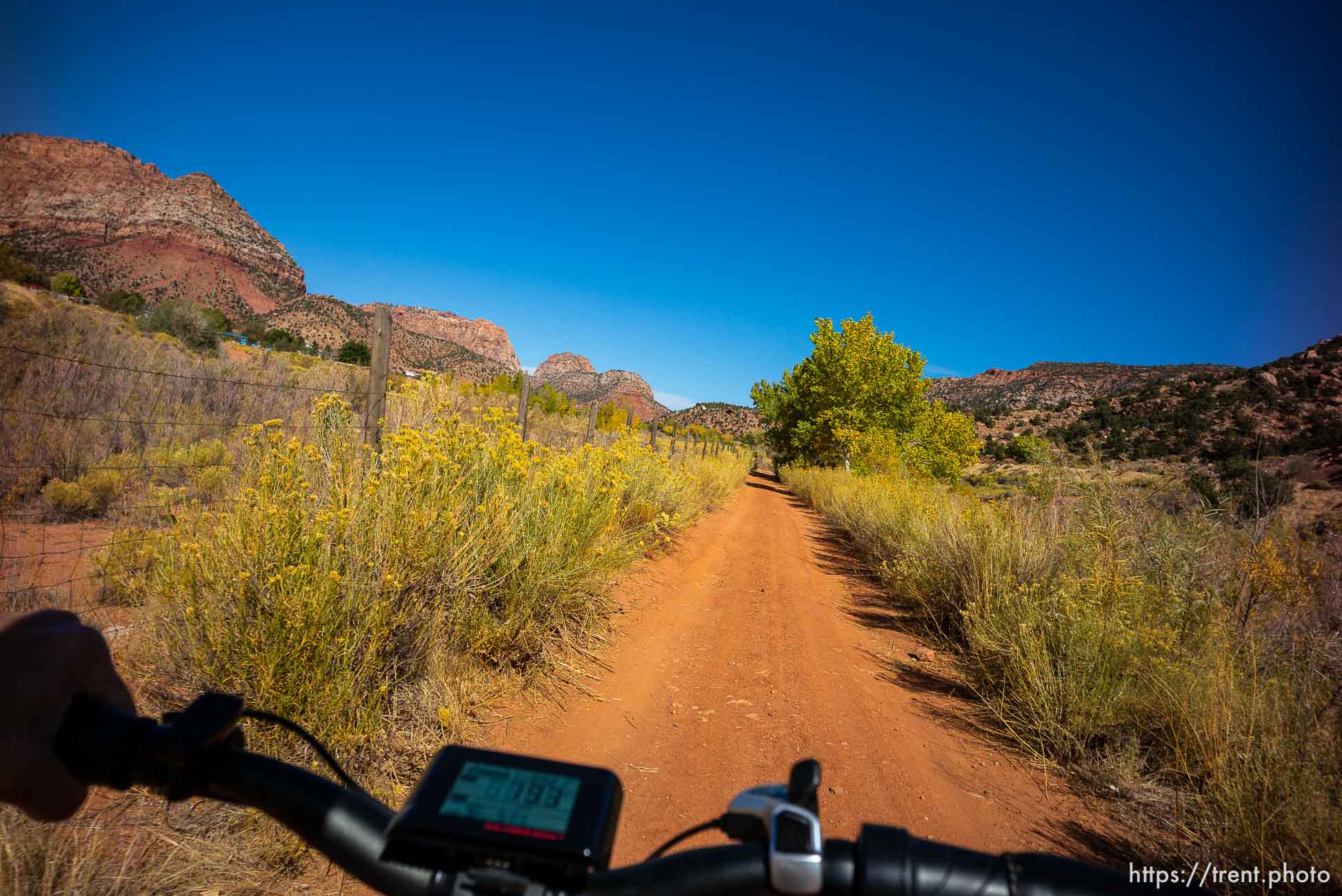 Rad Power Bikes