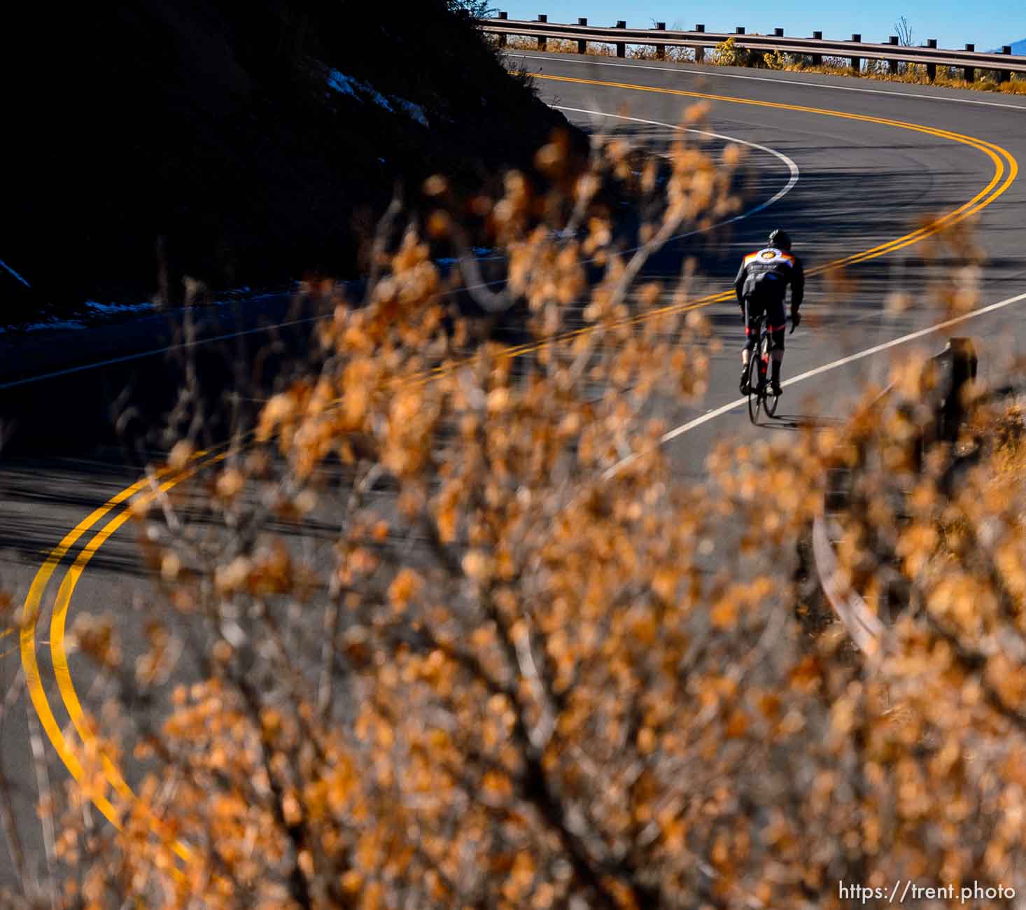 Emigration Canyon Cyclist