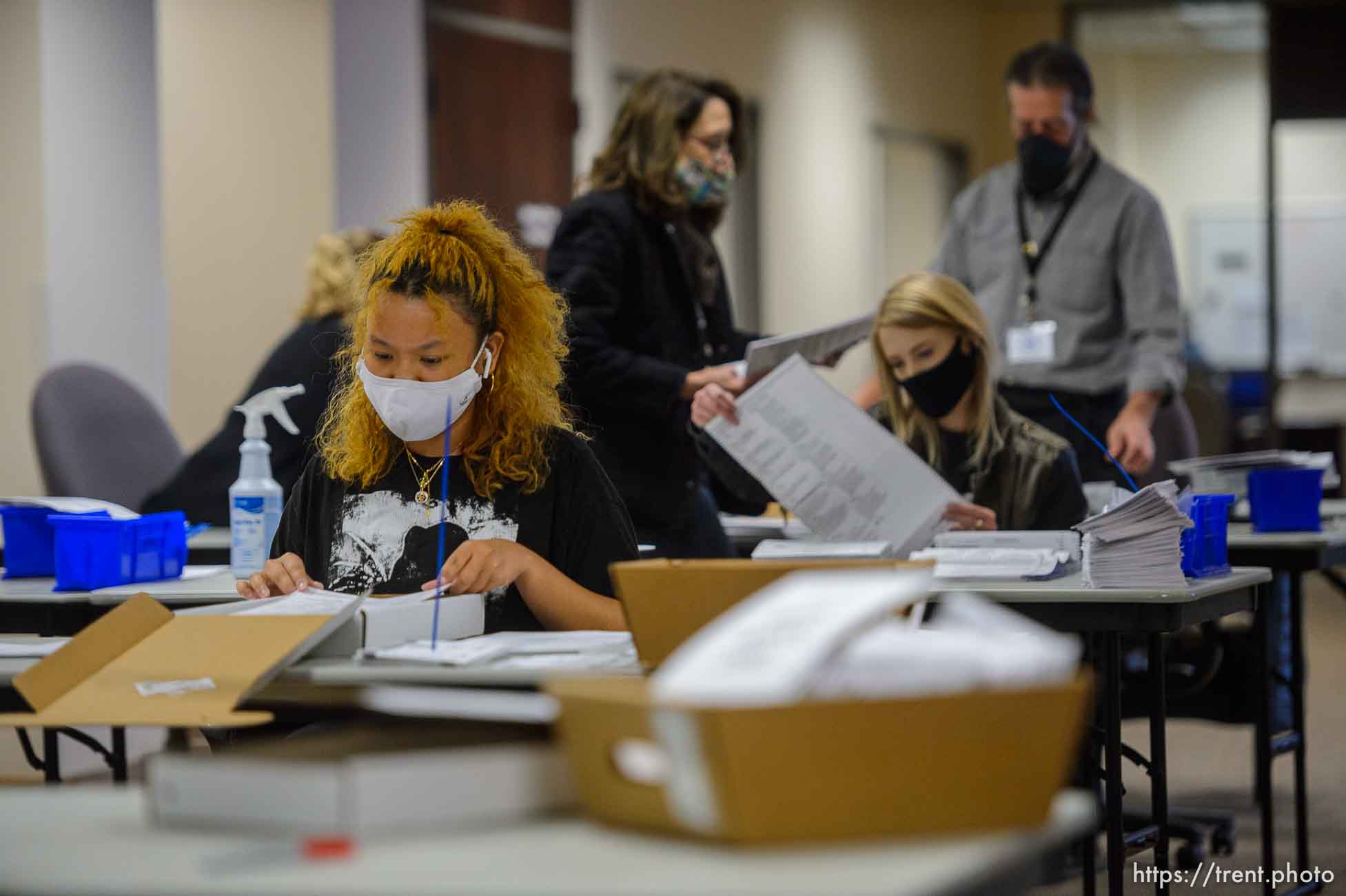 (Trent Nelson  |  The Salt Lake Tribune) Ballots are sorted at the Salt Lake County offices in Salt Lake City on Wednesday, Nov. 4, 2020.