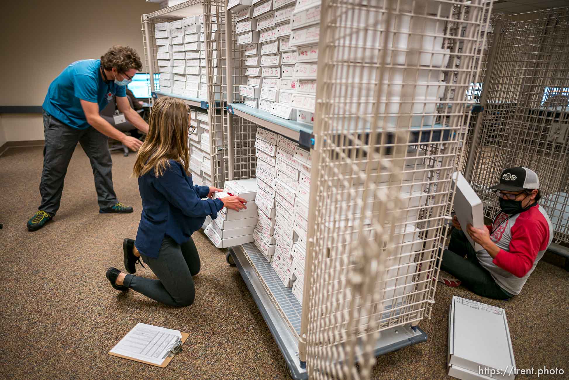 (Trent Nelson  |  The Salt Lake Tribune) Ballots are sorted for scanning at the Salt Lake County offices in Salt Lake City on Wednesday, Nov. 4, 2020.