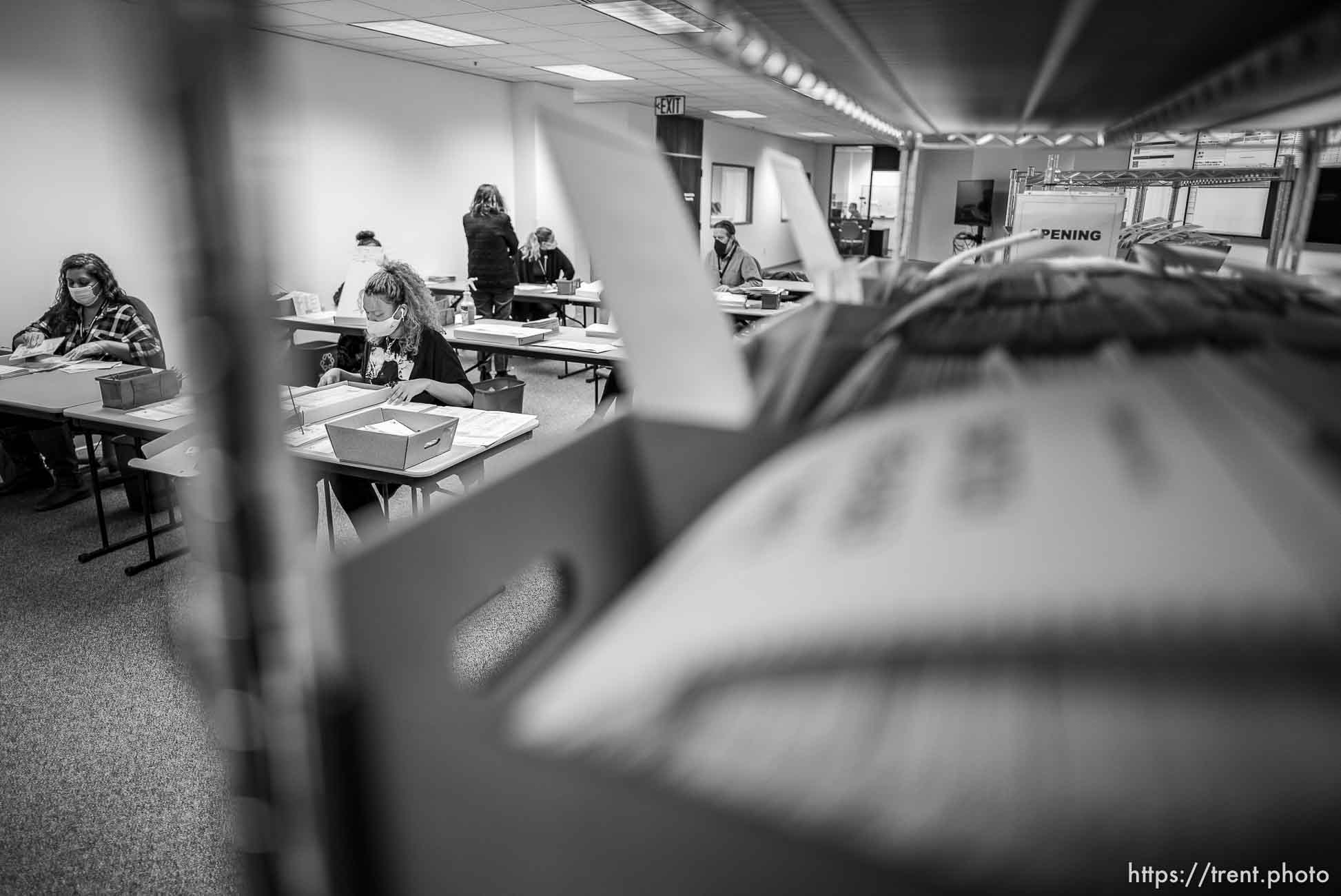 (Trent Nelson  |  The Salt Lake Tribune) Ballots are sorted for scanning at the Salt Lake County offices in Salt Lake City on Wednesday, Nov. 4, 2020.