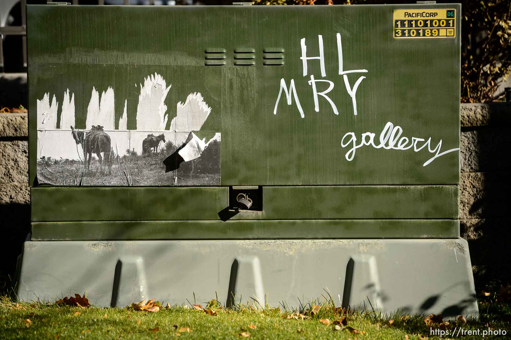 HL MRY