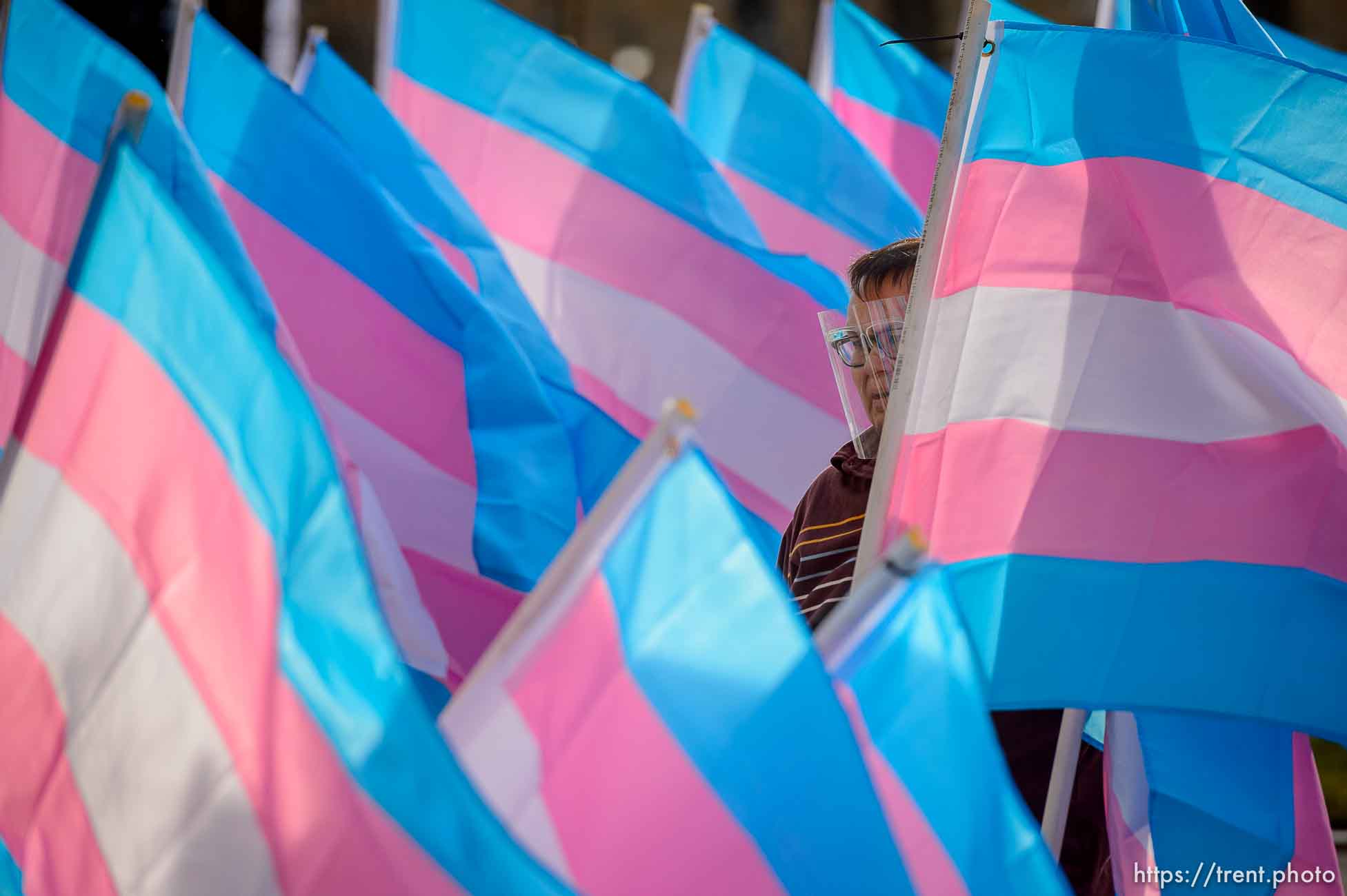 (Trent Nelson  |  The Salt Lake Tribune) Dallas Rivas of Project Rainbow sets up Trans Pride flags to mark Transgender Awareness Week at City Hall in Salt Lake City on Tuesday, Nov. 17, 2020. Each of the more than 300 Trans Pride flags stands in remembrance of a transgender person murdered in the last year.