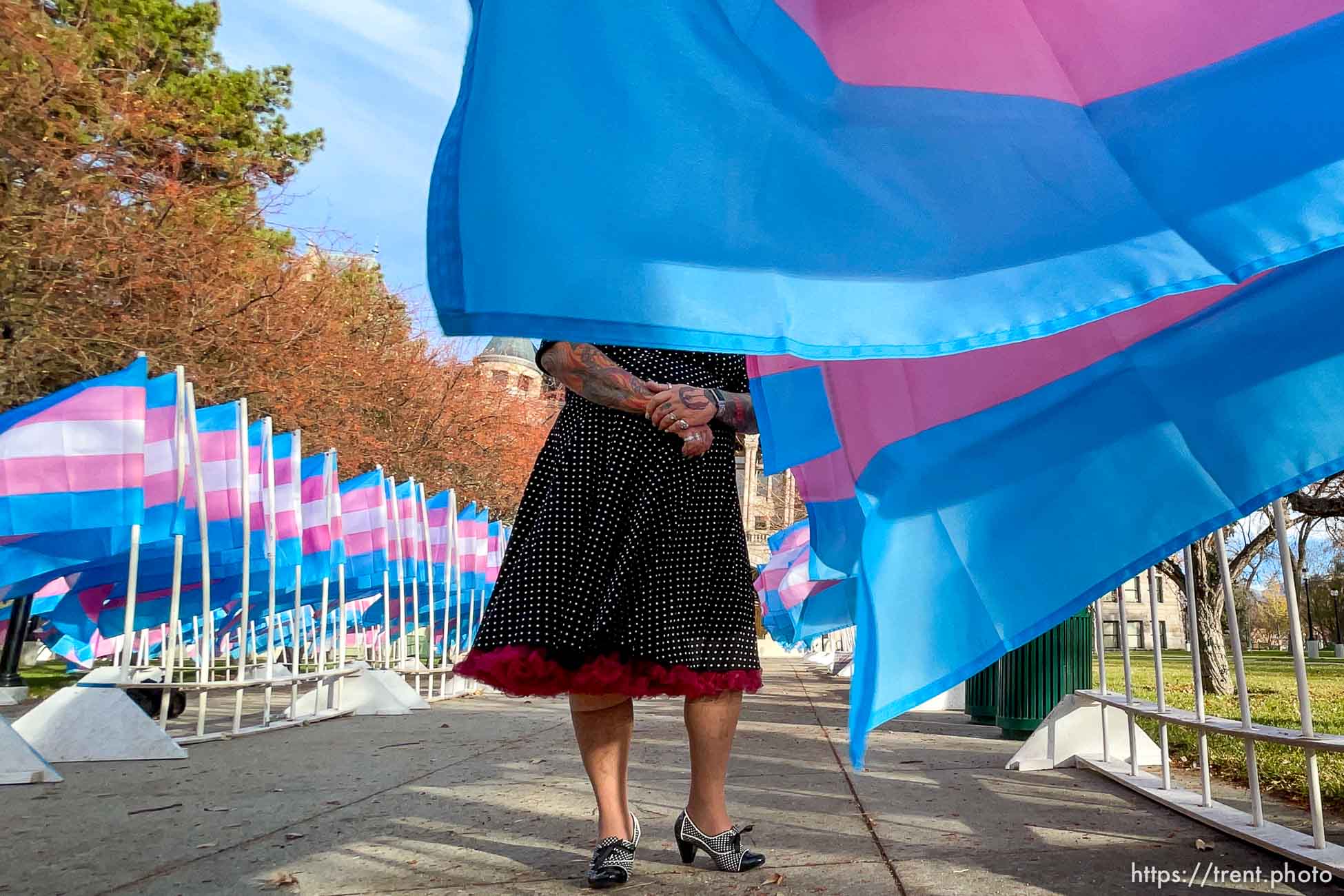 (Trent Nelson  |  The Salt Lake Tribune) Flags standing at City Hall in Salt Lake City on Tuesday, Nov. 17, 2020. to mark Transgender Awareness Week. Each of the more than 300 Trans Pride flags stands in remembrance and is marked with the name and story of a transgender person murdered in the last year.