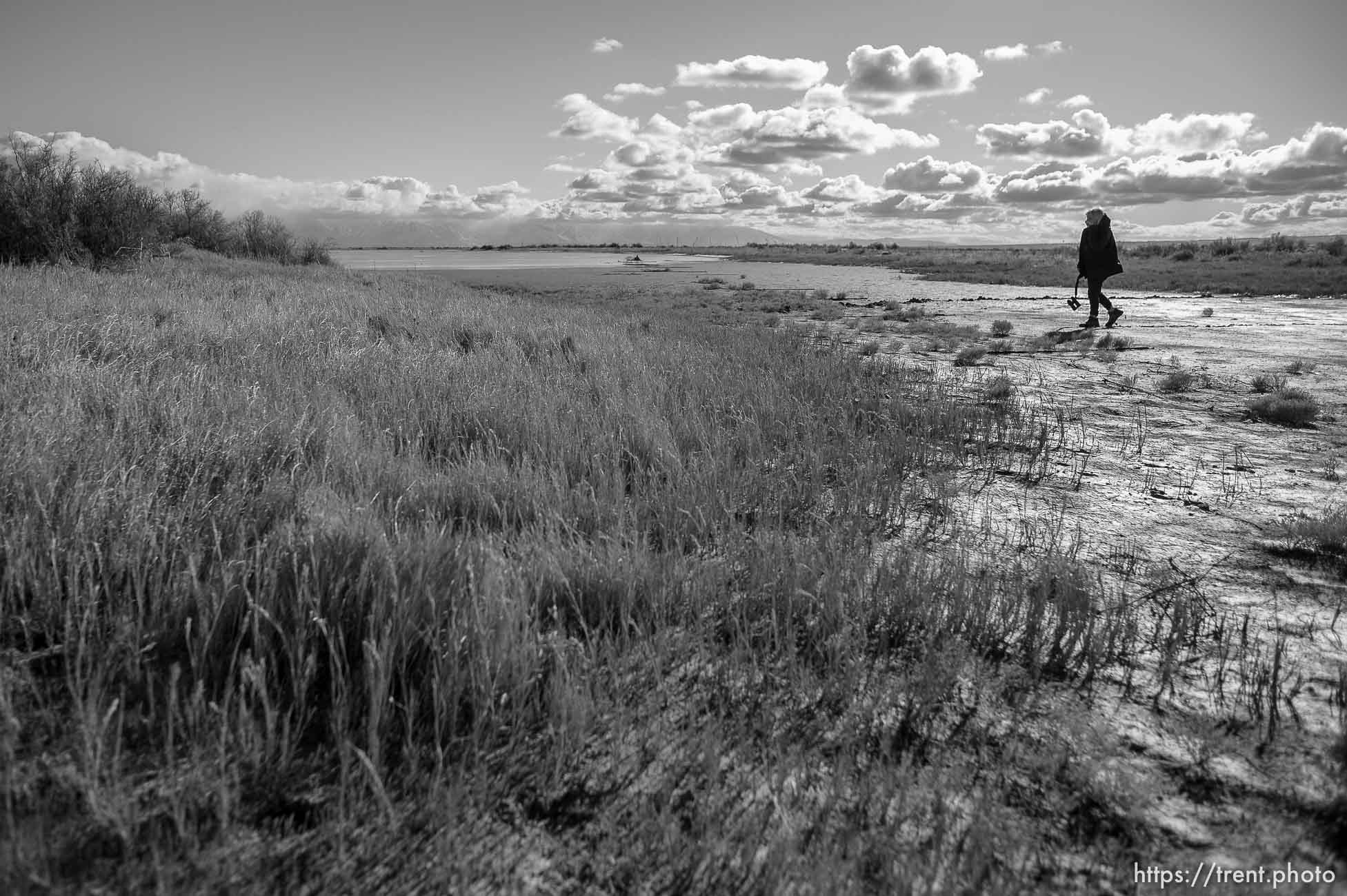 (Trent Nelson  |  The Salt Lake Tribune) Ella Sorensen, manager of Audubon’s Gillmor Sanctuary on the Great Salt Lake's South Shore on Wednesday, Dec. 23, 2020.