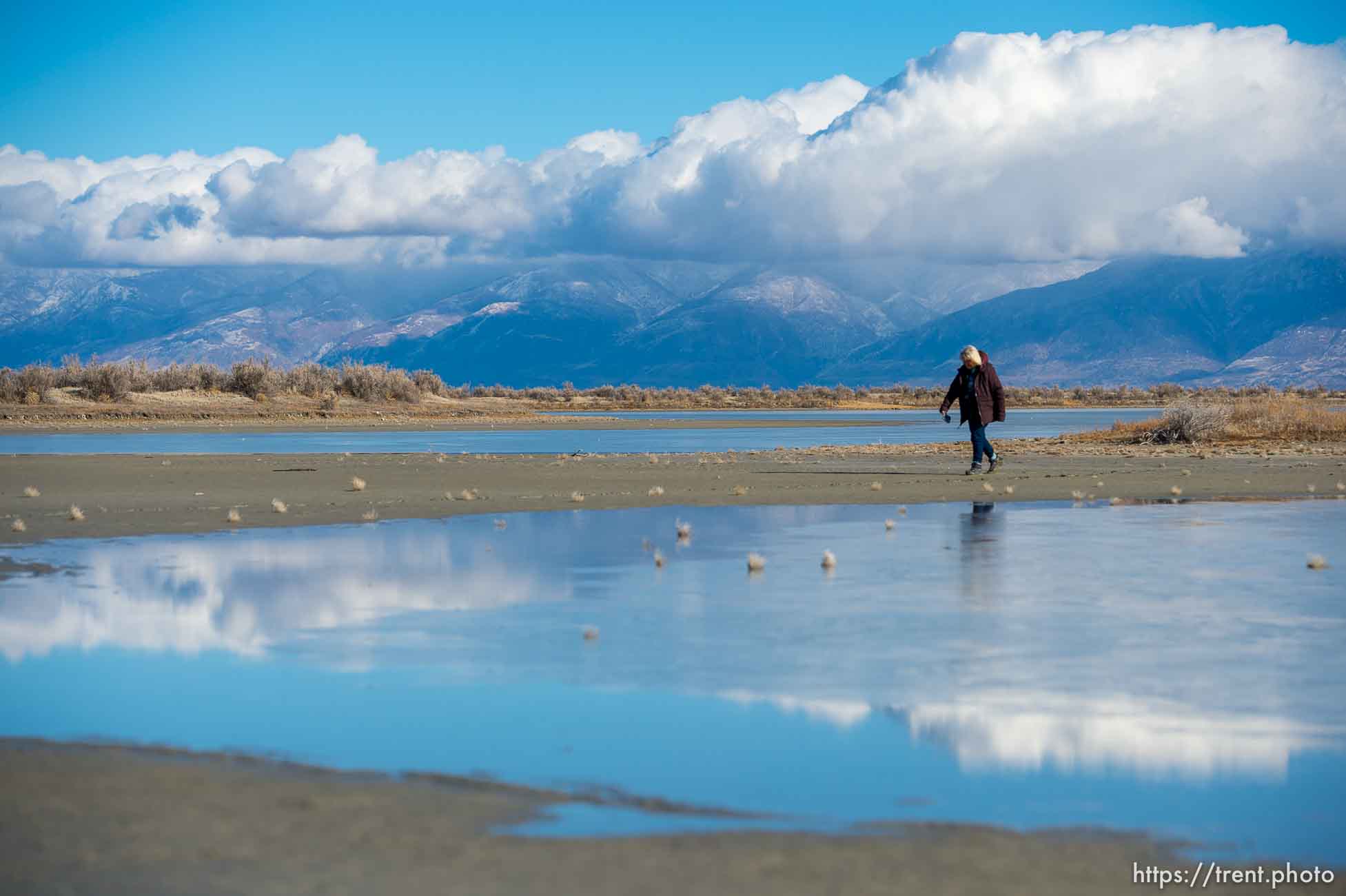 (Trent Nelson  |  The Salt Lake Tribune) Ella Sorensen, manager of Audubon’s Gillmor Sanctuary on the Great Salt Lake's South Shore on Wednesday, Dec. 23, 2020.