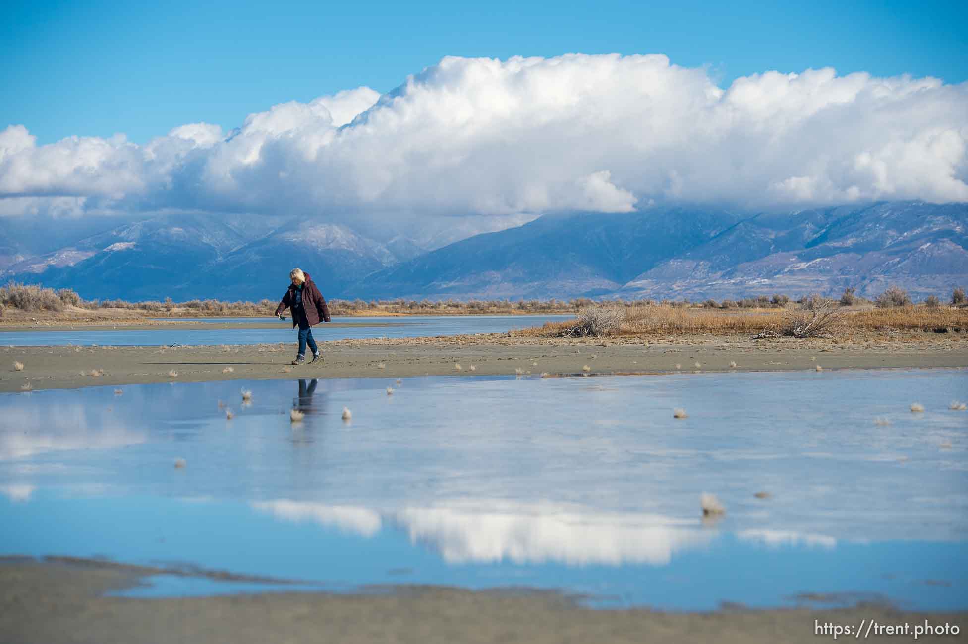 (Trent Nelson  |  The Salt Lake Tribune) Audubon’s Gillmor Sanctuary on the Great Salt Lake's South Shore on Wednesday, Dec. 23, 2020.