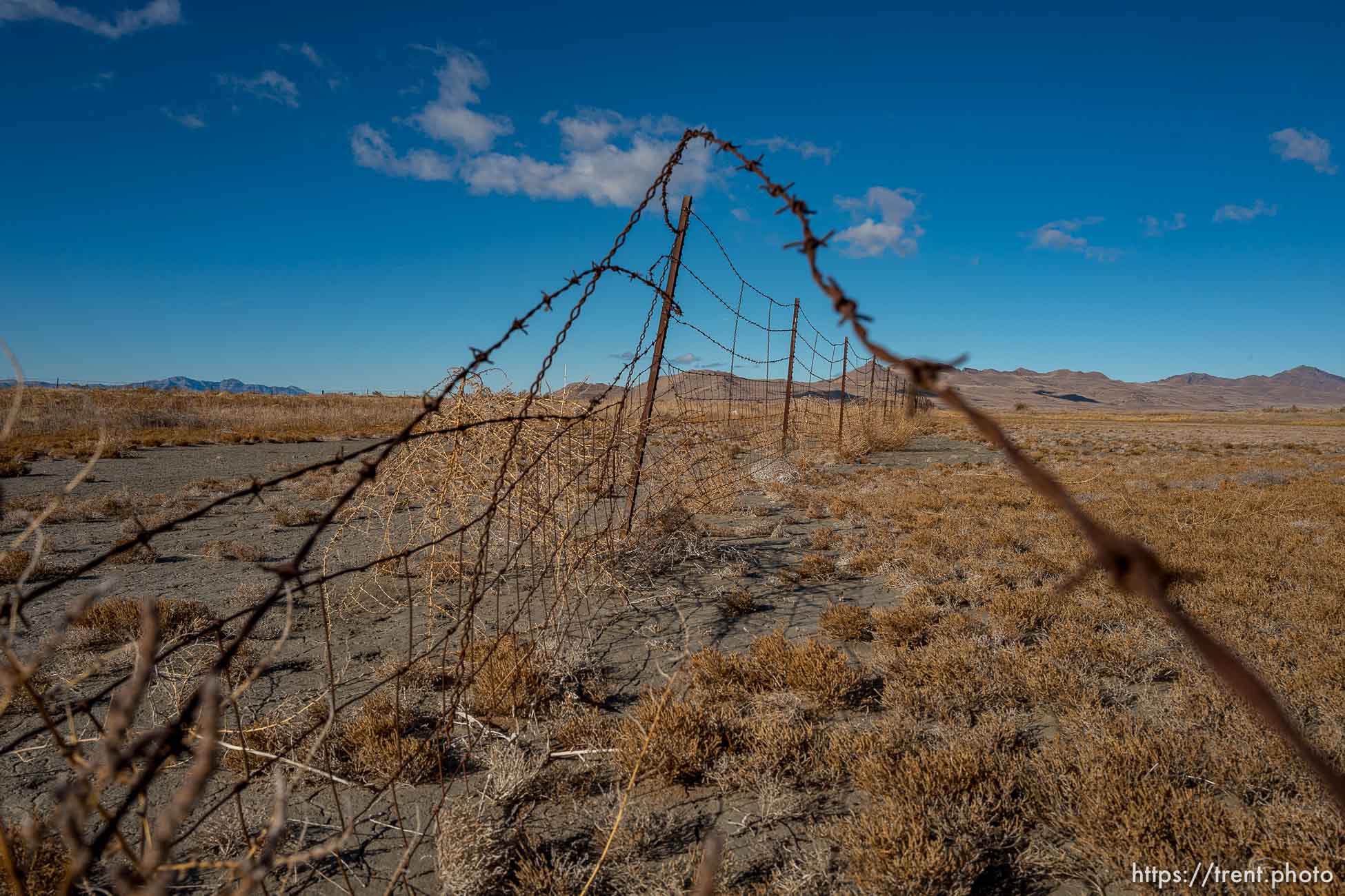 (Trent Nelson  |  The Salt Lake Tribune) Audubon’s Gillmor Sanctuary on the Great Salt Lake's South Shore on Wednesday, Dec. 23, 2020.