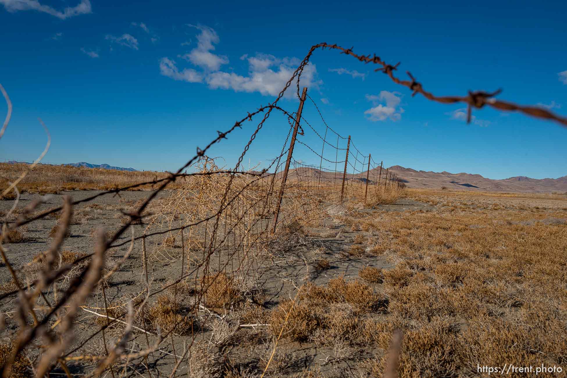 (Trent Nelson  |  The Salt Lake Tribune) Audubon’s Gillmor Sanctuary on the Great Salt Lake's South Shore on Wednesday, Dec. 23, 2020.