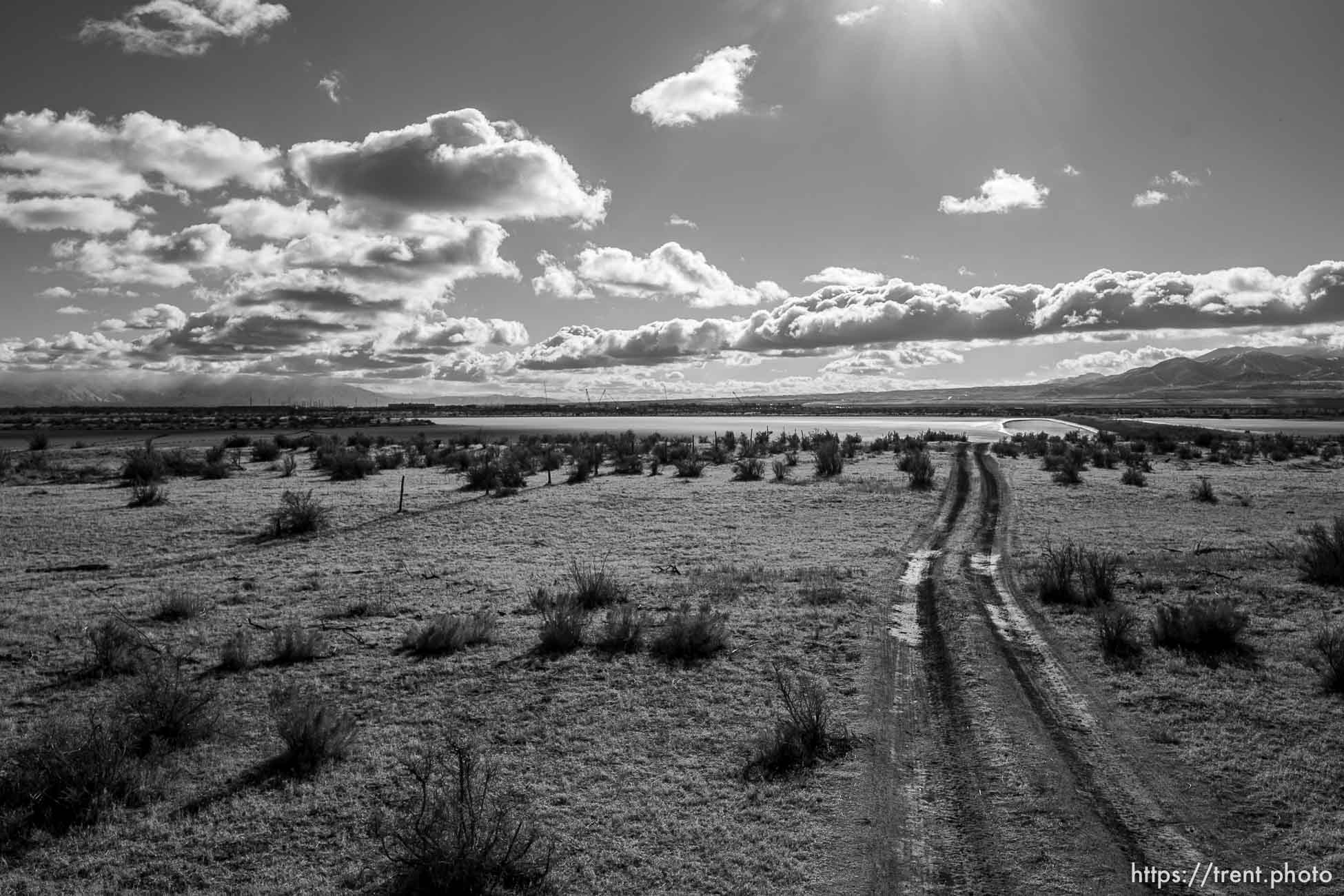 (Trent Nelson  |  The Salt Lake Tribune) A view of land recently donated to the Audubon’s Gillmor Sanctuary on the Great Salt Lake's South Shore on Wednesday, Dec. 23, 2020.