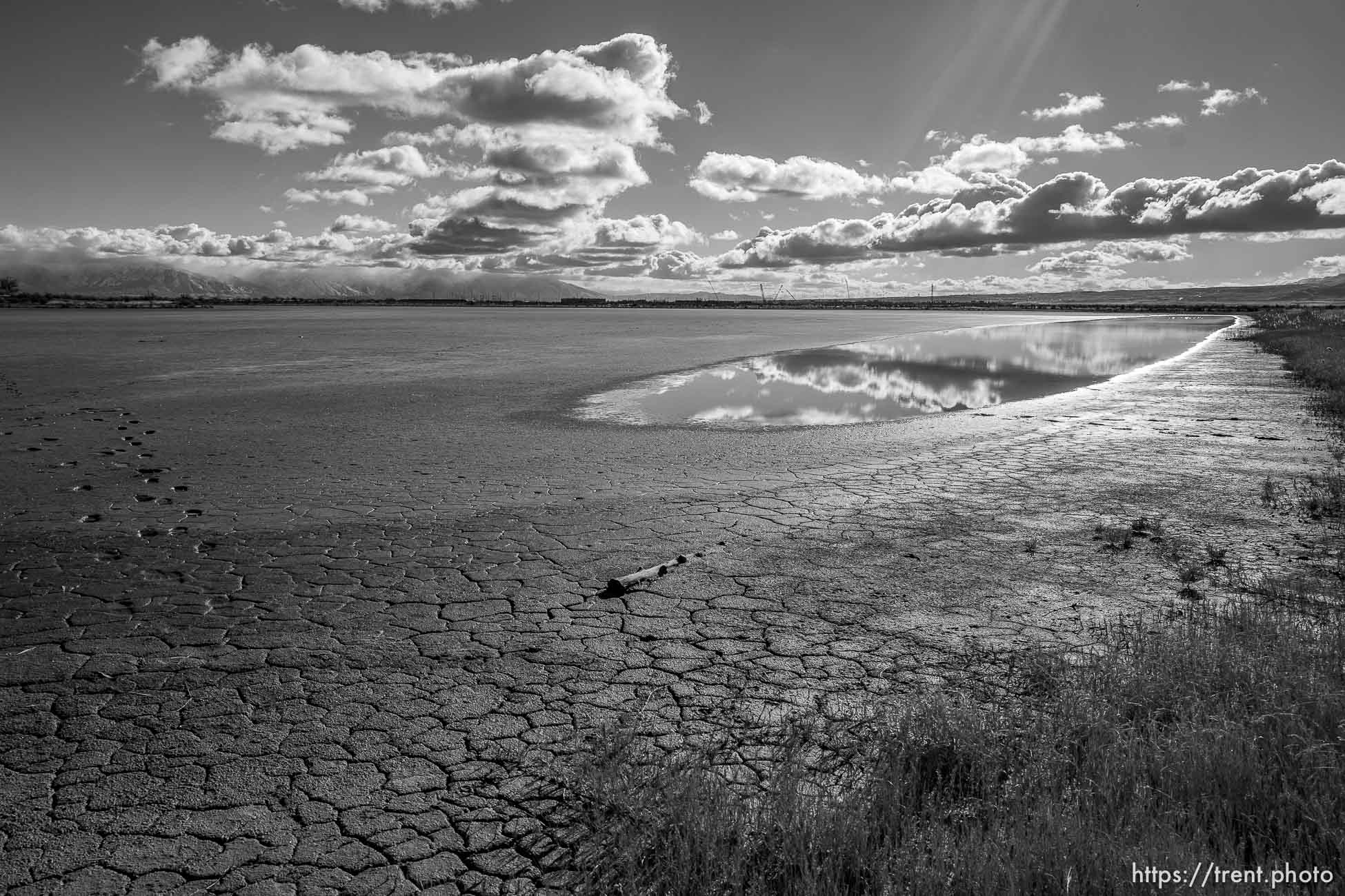 (Trent Nelson  |  The Salt Lake Tribune) A view of land recently donated to the Audubon’s Gillmor Sanctuary on the Great Salt Lake's South Shore on Wednesday, Dec. 23, 2020.