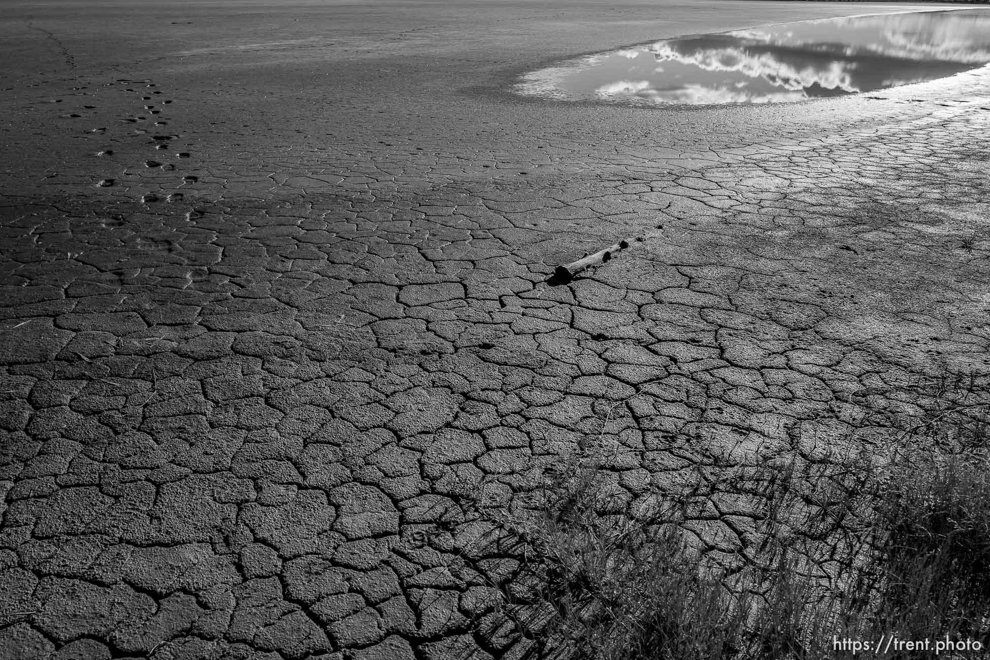 (Trent Nelson  |  The Salt Lake Tribune) Audubon’s Gillmor Sanctuary on the Great Salt Lake's South Shore on Wednesday, Dec. 23, 2020.