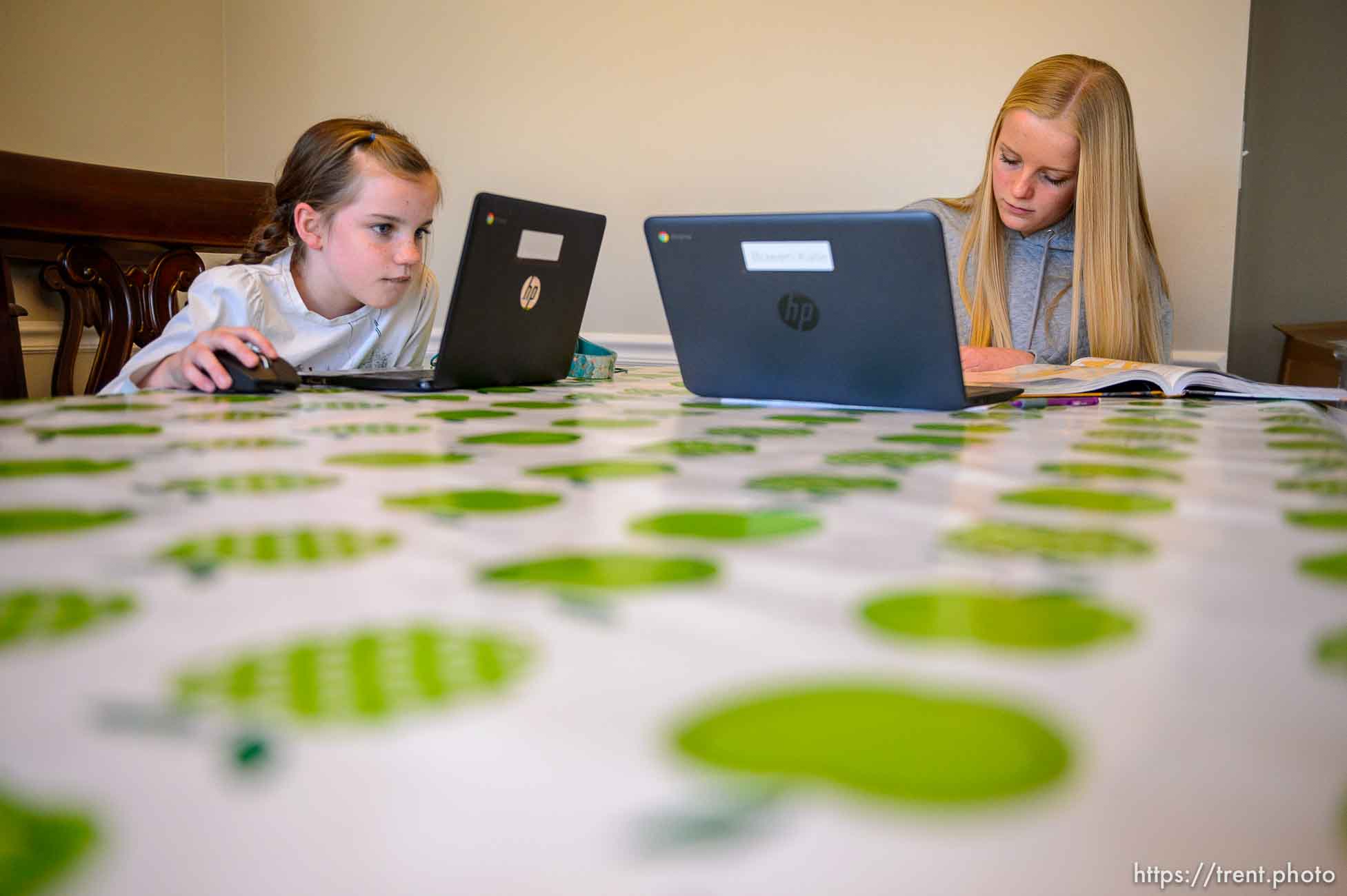 (Trent Nelson  |  The Salt Lake Tribune) Hailey Bowen, a fourth grader at Long View Elementary, and her sister Kate Bowen, a ninth grader at Hillcrest Junior High, doing online schoolwork at home in Murray on Wednesday, Jan. 13, 2021.