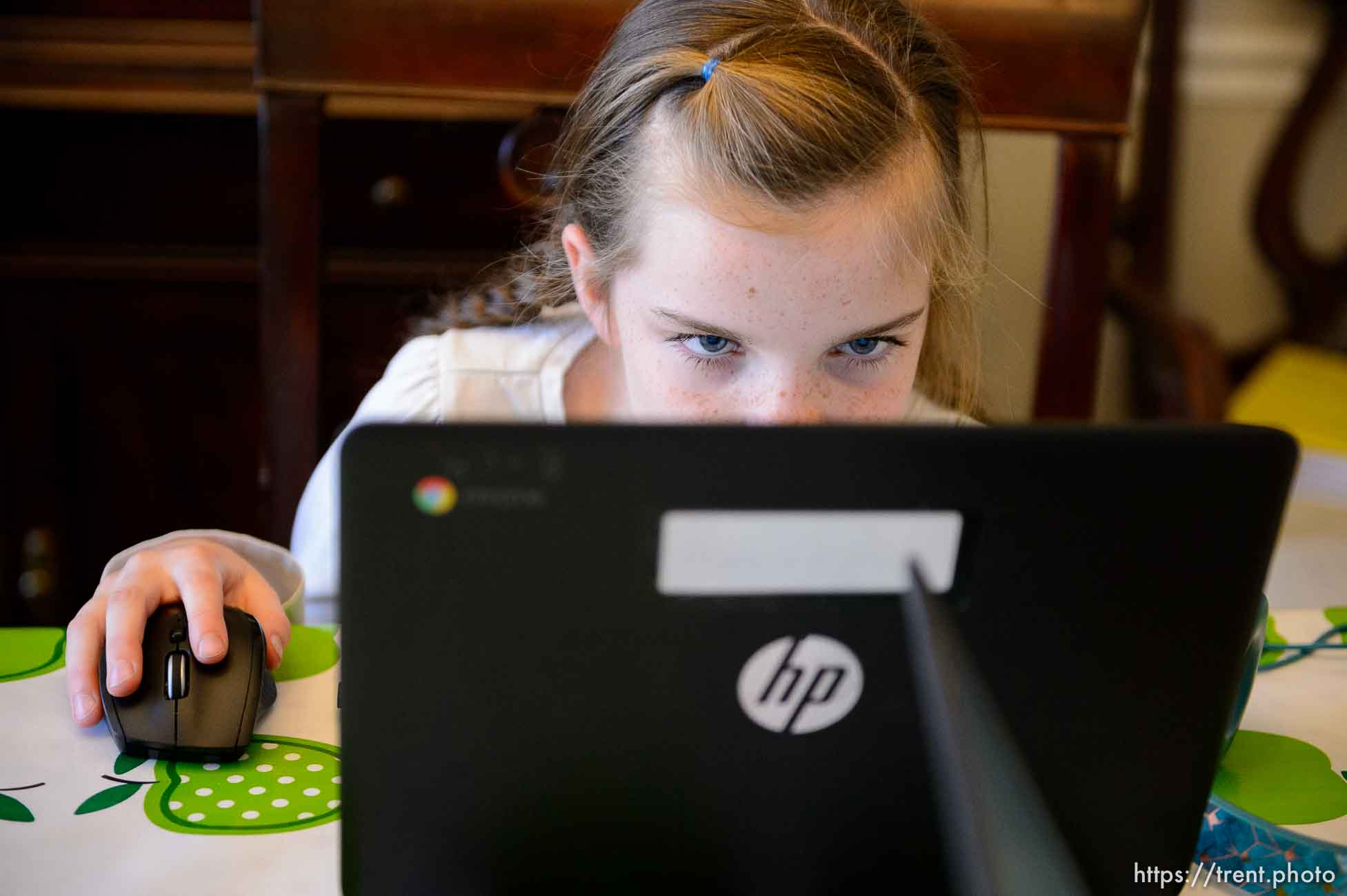 (Trent Nelson  |  The Salt Lake Tribune) Hailey Bowen, a fourth grader at Long View Elementary, doing online schoolwork at home in Murray on Wednesday, Jan. 13, 2021.