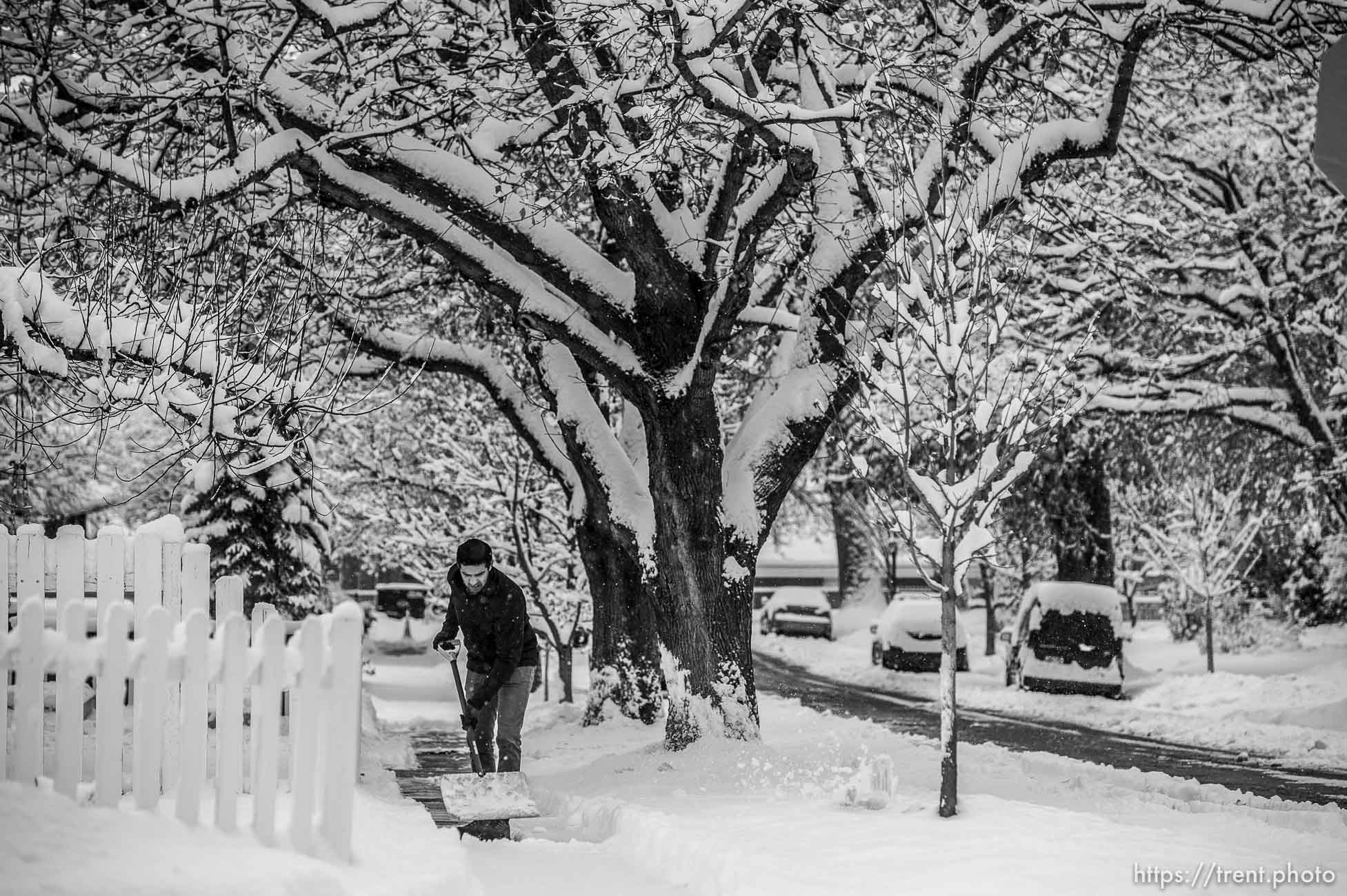 (Trent Nelson  |  The Salt Lake Tribune) Aabir Malik shovels snow in Salt Lake City on Wednesday, Feb. 17, 2021.