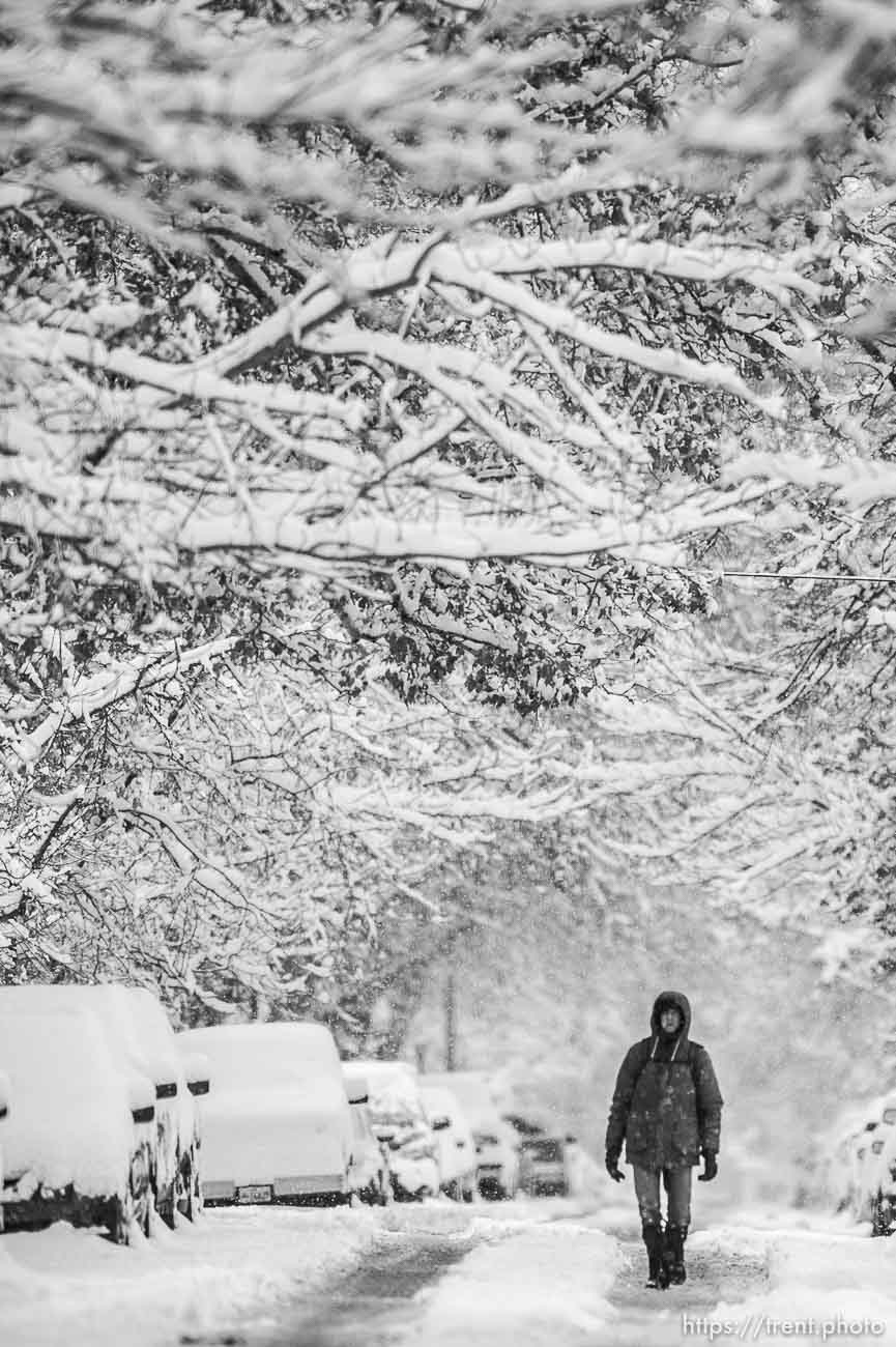 (Trent Nelson  |  The Salt Lake Tribune) A pedestrian walks on Windsor Street as a winter storm continues to drop snow in Salt Lake City on Wednesday, Feb. 17, 2021.