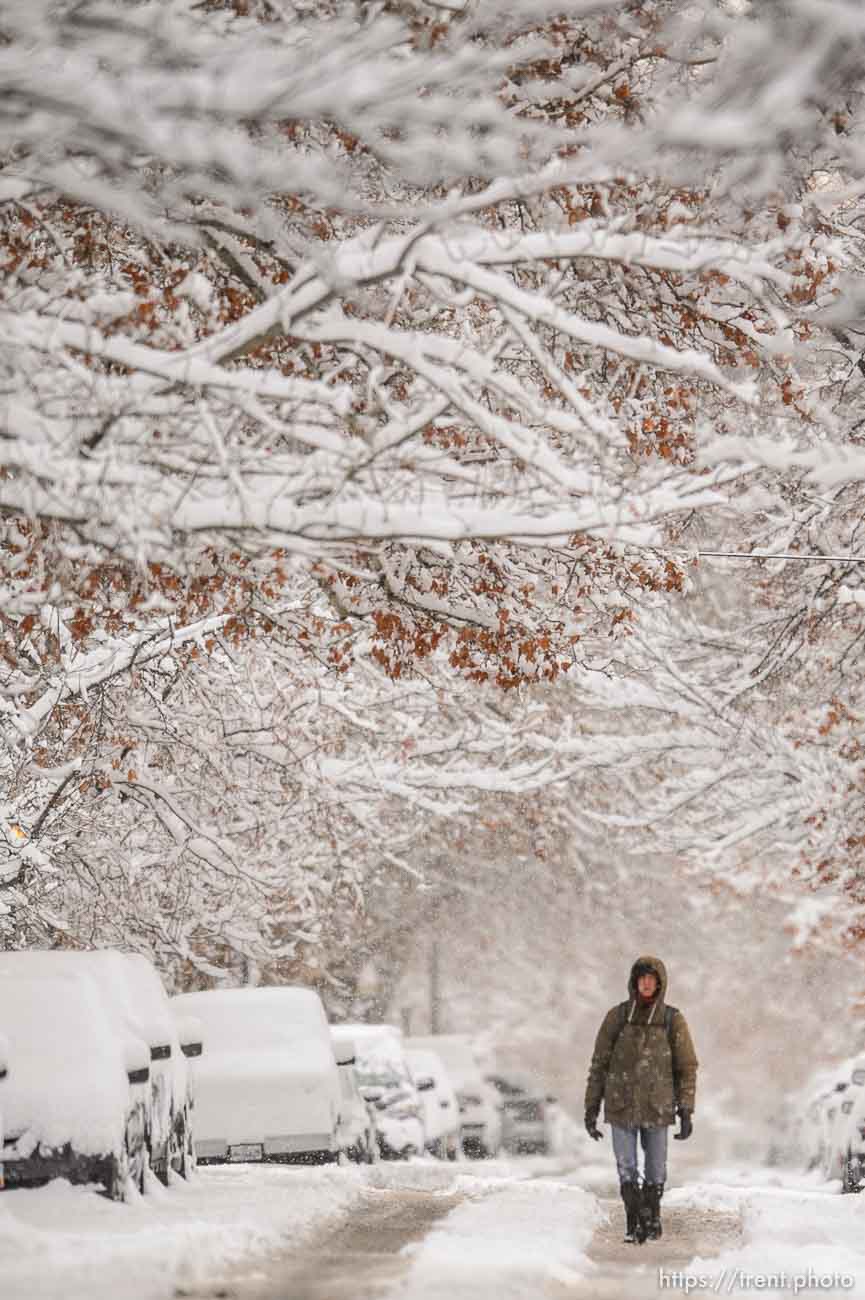 (Trent Nelson  |  The Salt Lake Tribune) A pedestrian walks on Windsor Street as a winter storm continues to drop snow in Salt Lake City on Wednesday, Feb. 17, 2021.