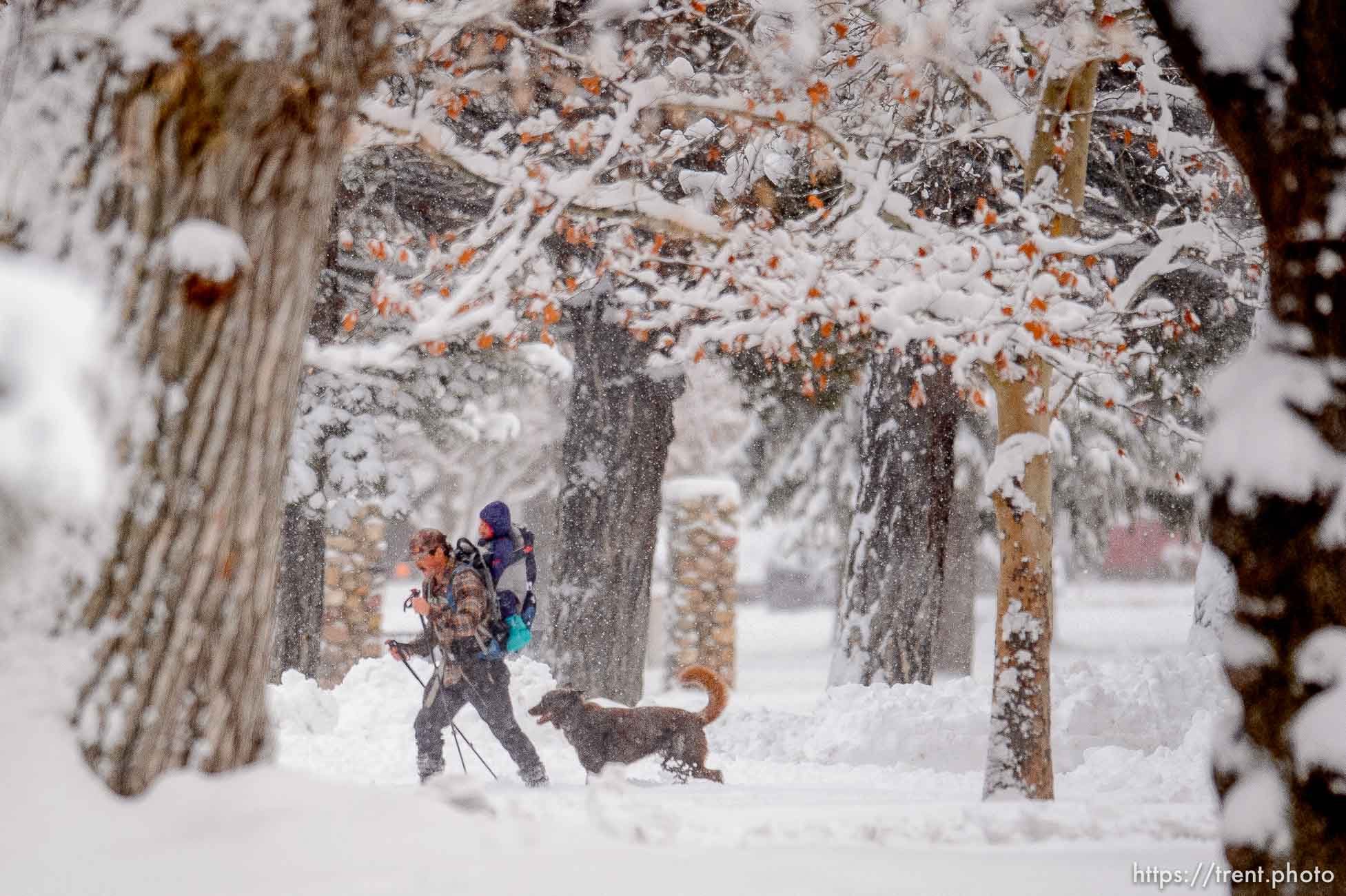 (Trent Nelson  |  The Salt Lake Tribune) A skier in Liberty Park as a winter storm continues to drop snow in Salt Lake City on Wednesday, Feb. 17, 2021.