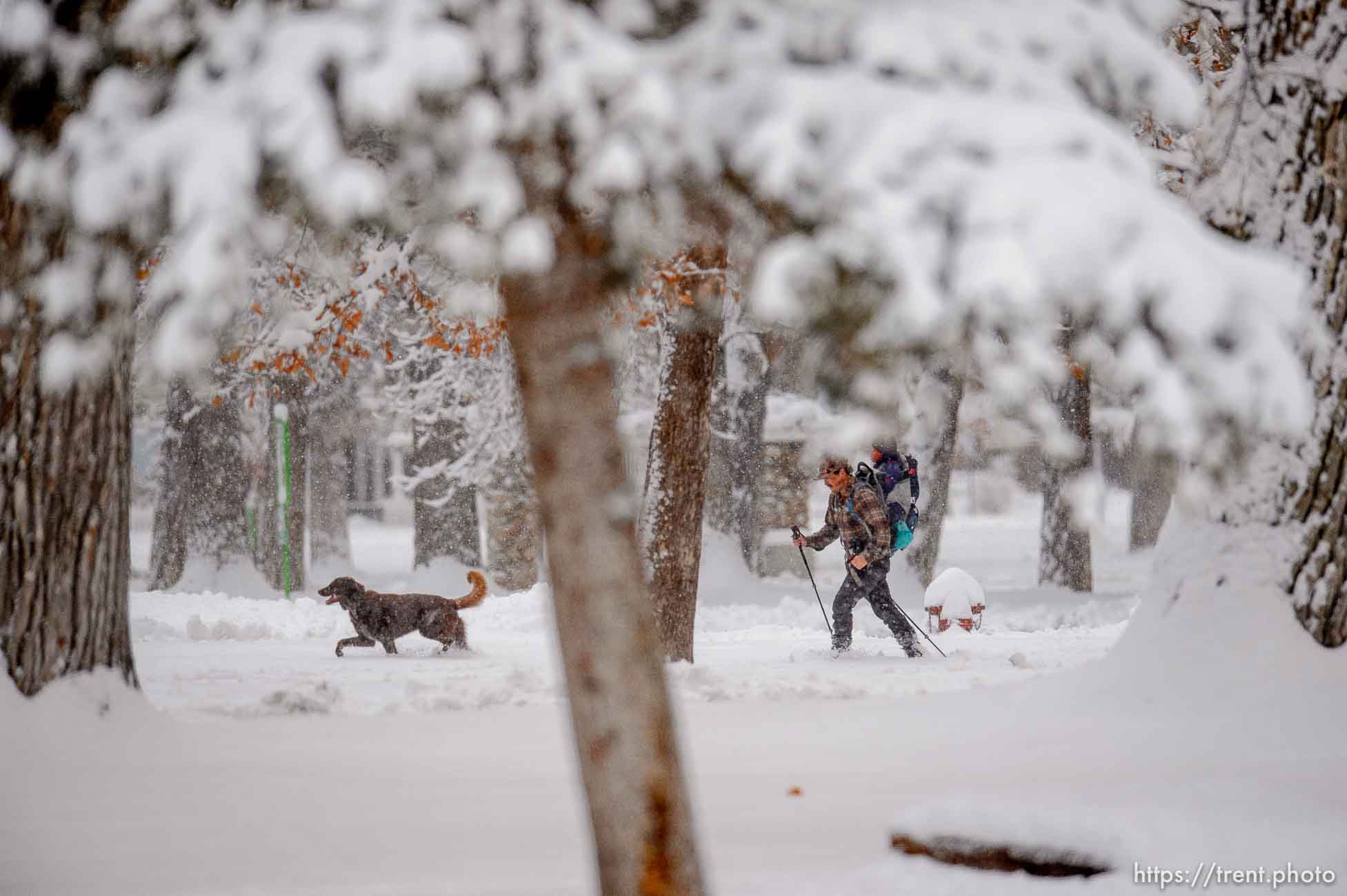 (Trent Nelson  |  The Salt Lake Tribune) A skier in Liberty Park as a winter storm continues to drop snow in Salt Lake City on Wednesday, Feb. 17, 2021.