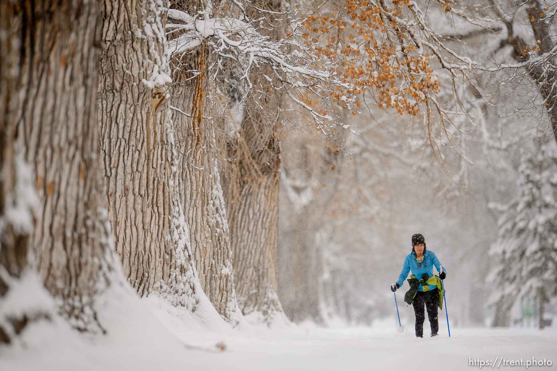 (Trent Nelson  |  The Salt Lake Tribune) Melinda Tomeo skis through Liberty Park as a winter storm continues to drop snow in Salt Lake City on Wednesday, Feb. 17, 2021.