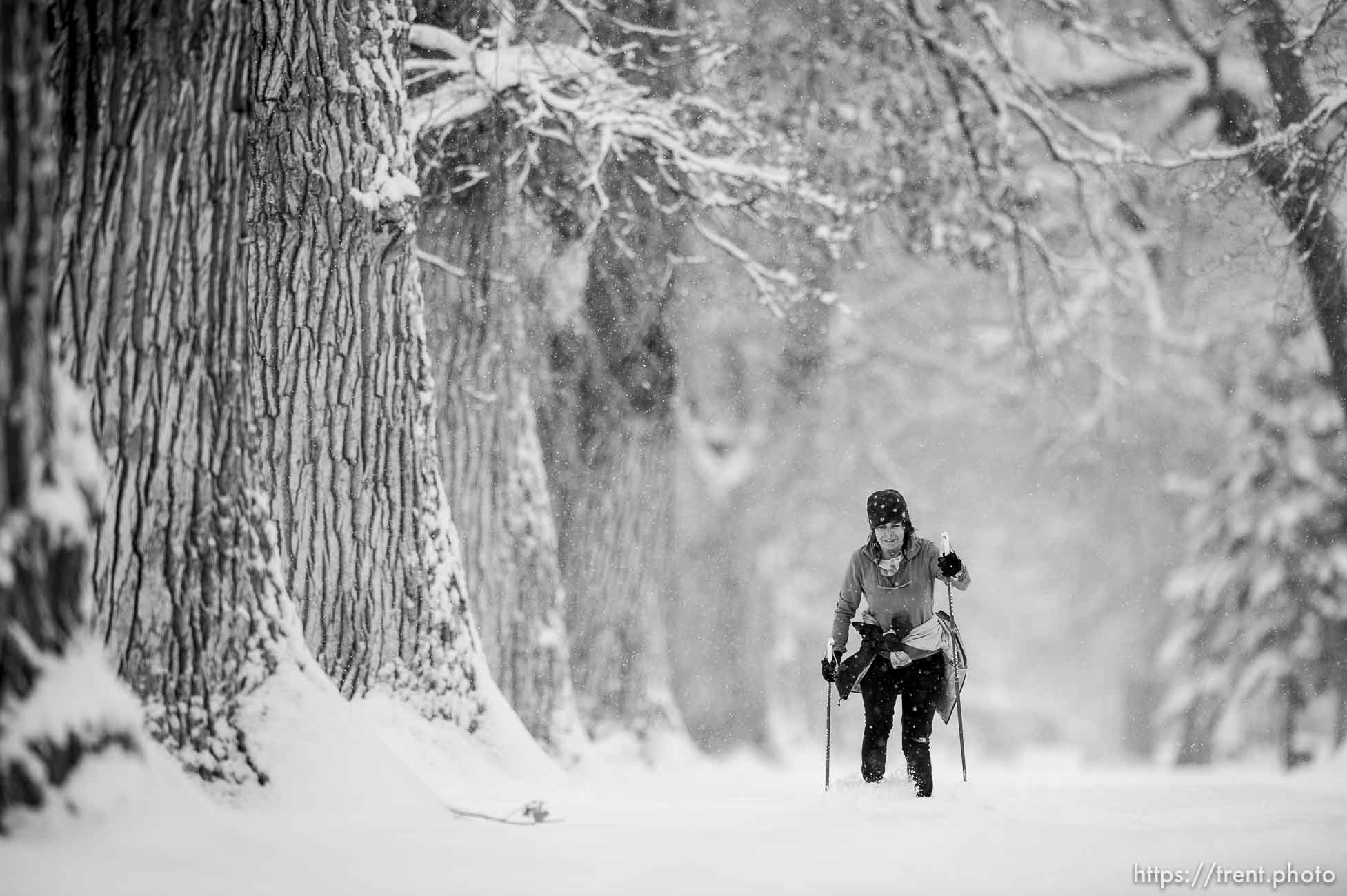 (Trent Nelson  |  The Salt Lake Tribune) Melinda Tomeo skies through Liberty Park as a winter storm continues to drop snow in Salt Lake City on Wednesday, Feb. 17, 2021.