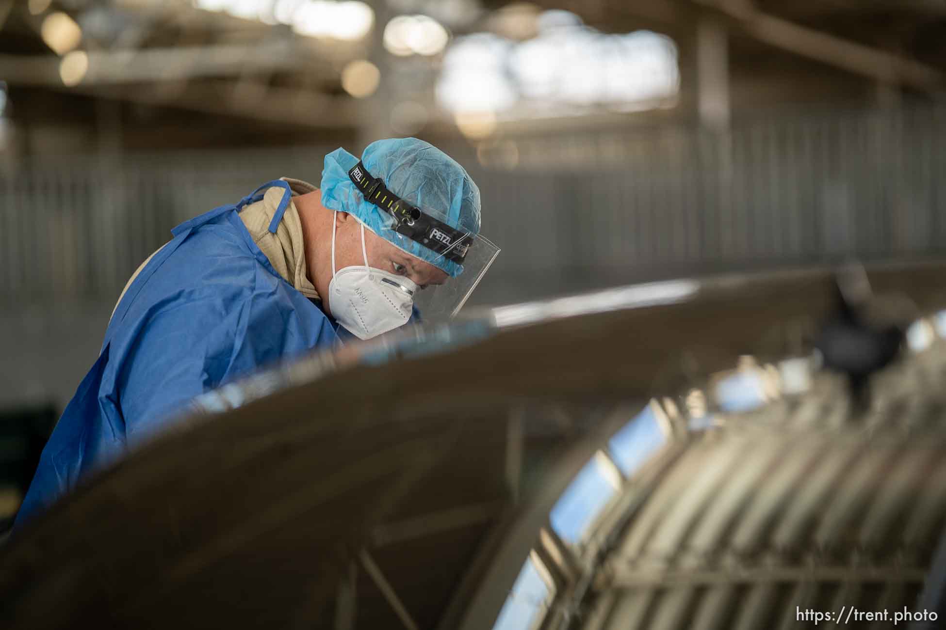 (Trent Nelson  |  The Salt Lake Tribune) Sgt. 1st Class Sean Conorich working at a COVID-19 testing site run by the Utah National Guard at the Utah State Fairpark in Salt Lake City on Thursday, Feb. 25, 2021.