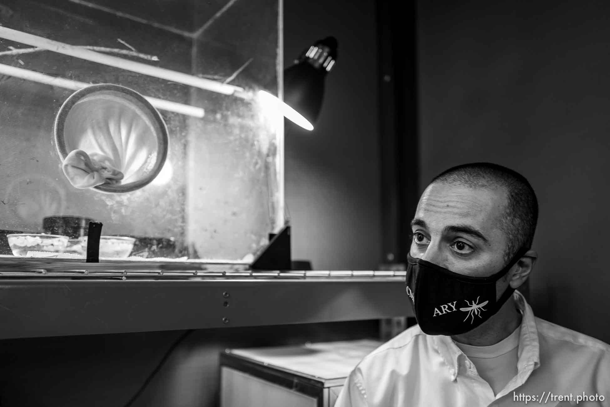 (Trent Nelson  |  The Salt Lake Tribune) Ary Faraji, executive director, at the Salt Lake City Mosquito Abatement District's facility on Thursday, Feb. 25, 2021.