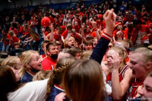 (Trent Nelson  |  The Salt Lake Tribune) Springville players and fans celebrate their win over Farmington High School in the 5A girls basketball state championship game, in Taylorsville on Saturday, March 6, 2021.