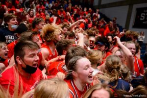 (Trent Nelson  |  The Salt Lake Tribune) Springville players and fans celebrate their win over Farmington High School in the 5A girls basketball state championship game, in Taylorsville on Saturday, March 6, 2021.