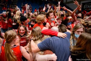 (Trent Nelson  |  The Salt Lake Tribune) Springville players and fans celebrate their win over Farmington High School in the 5A girls basketball state championship game, in Taylorsville on Saturday, March 6, 2021.