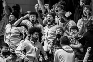 (Trent Nelson  |  The Salt Lake Tribune) Farmington fans celebrate a three-pointer that tied the game as Lehi defeats Farmington High School in the 5A boys basketball state championship game, in Taylorsville on Saturday, March 6, 2021.