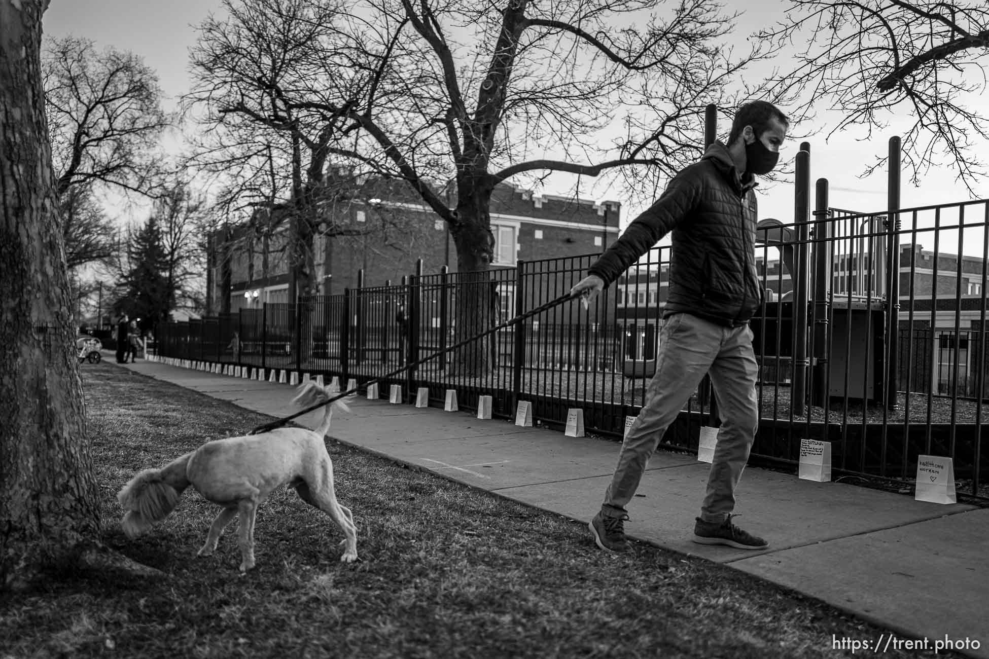 (Trent Nelson  |  The Salt Lake Tribune) Tim Campbell and his dog, Oso, look at the 500 luminarias put out by students and teachers at the McGillis School in Salt Lake City, on Wednesday, March 17, 2021. The luminarias each have a message of gratitude and hope or a reflection on the past year's pandemic