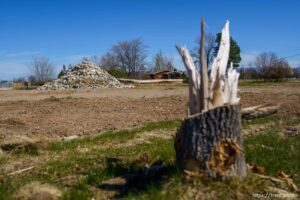 (Trent Nelson  |  The Salt Lake Tribune) A demolished lot in Syracuse on Tuesday, April 13, 2021. UDOT is planning a new highway project in the area.