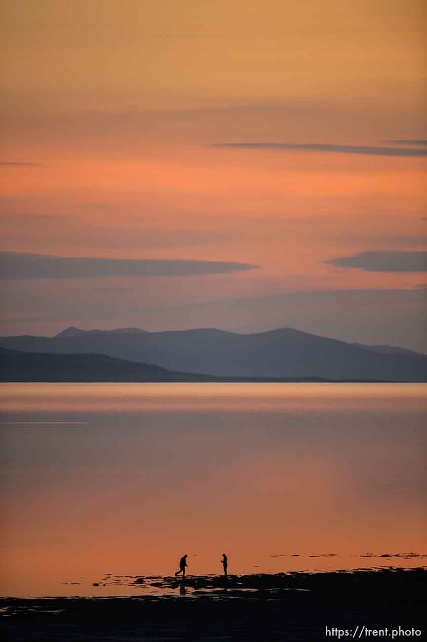 (Trent Nelson  |  The Salt Lake Tribune) 
at Antelope Island State Park on Friday, April 23, 2021.