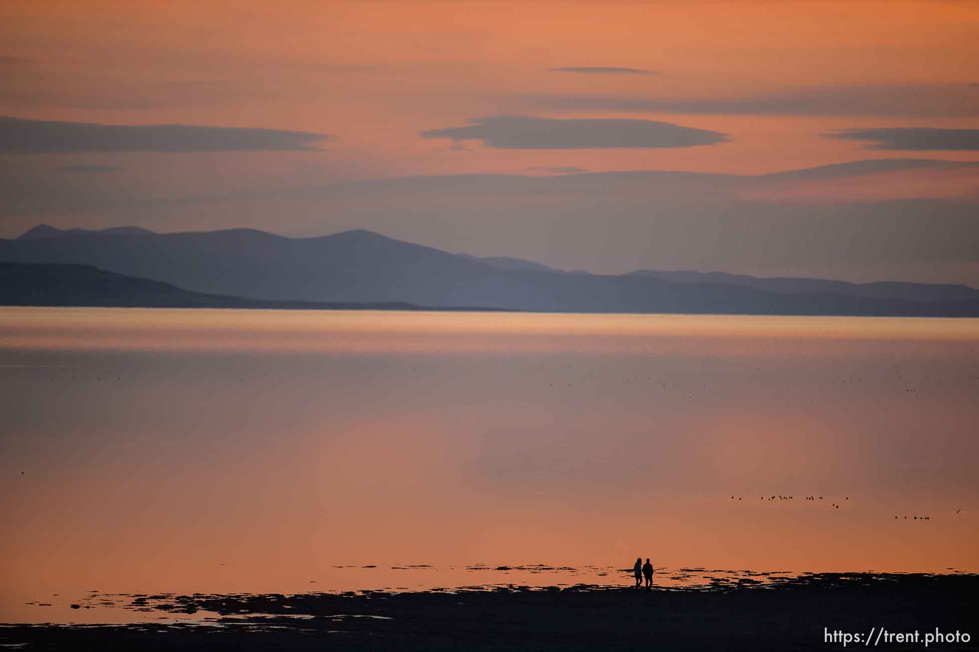 (Trent Nelson  |  The Salt Lake Tribune) 
at Antelope Island State Park on Friday, April 23, 2021.