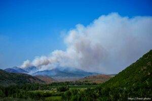 (Trent Nelson  |  The Salt Lake Tribune) East Canyon Fire burns north of East Canyon State Park, on Tuesday, June 8, 2021.