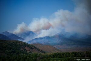 (Trent Nelson  |  The Salt Lake Tribune) East Canyon Fire burns north of East Canyon State Park, on Tuesday, June 8, 2021.