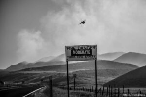 (Trent Nelson  |  The Salt Lake Tribune) East Canyon Fire burns north of East Canyon State Park, on Tuesday, June 8, 2021.