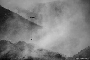 (Trent Nelson  |  The Salt Lake Tribune) East Canyon Fire burns north of East Canyon State Park, on Tuesday, June 8, 2021.