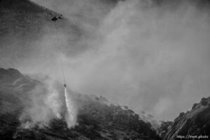 (Trent Nelson  |  The Salt Lake Tribune) East Canyon Fire burns north of East Canyon State Park, on Tuesday, June 8, 2021.