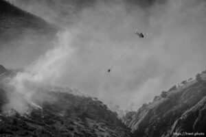 (Trent Nelson  |  The Salt Lake Tribune) East Canyon Fire burns north of East Canyon State Park, on Tuesday, June 8, 2021.